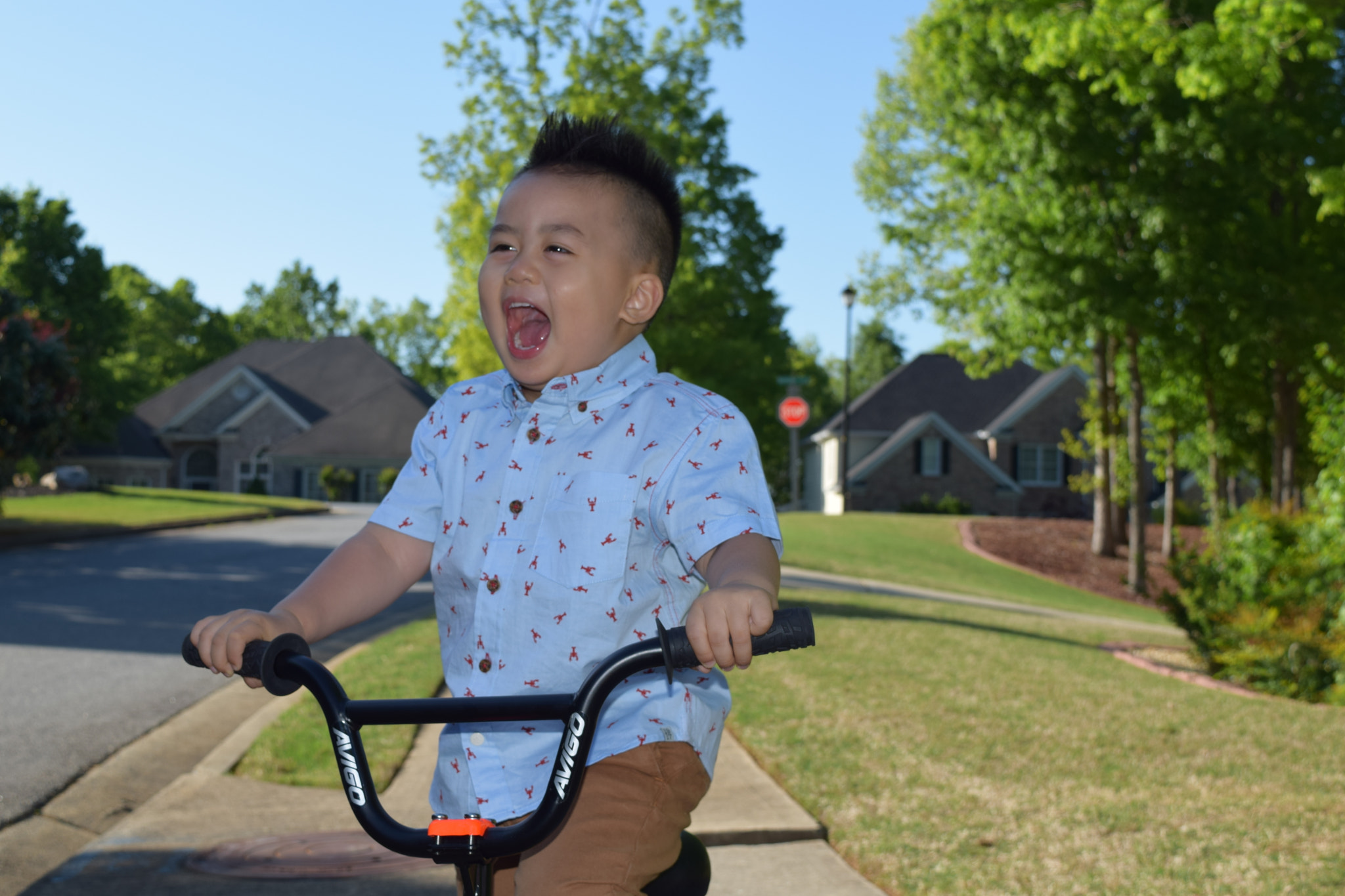 Nikon D5300 sample photo. Liam dang photography