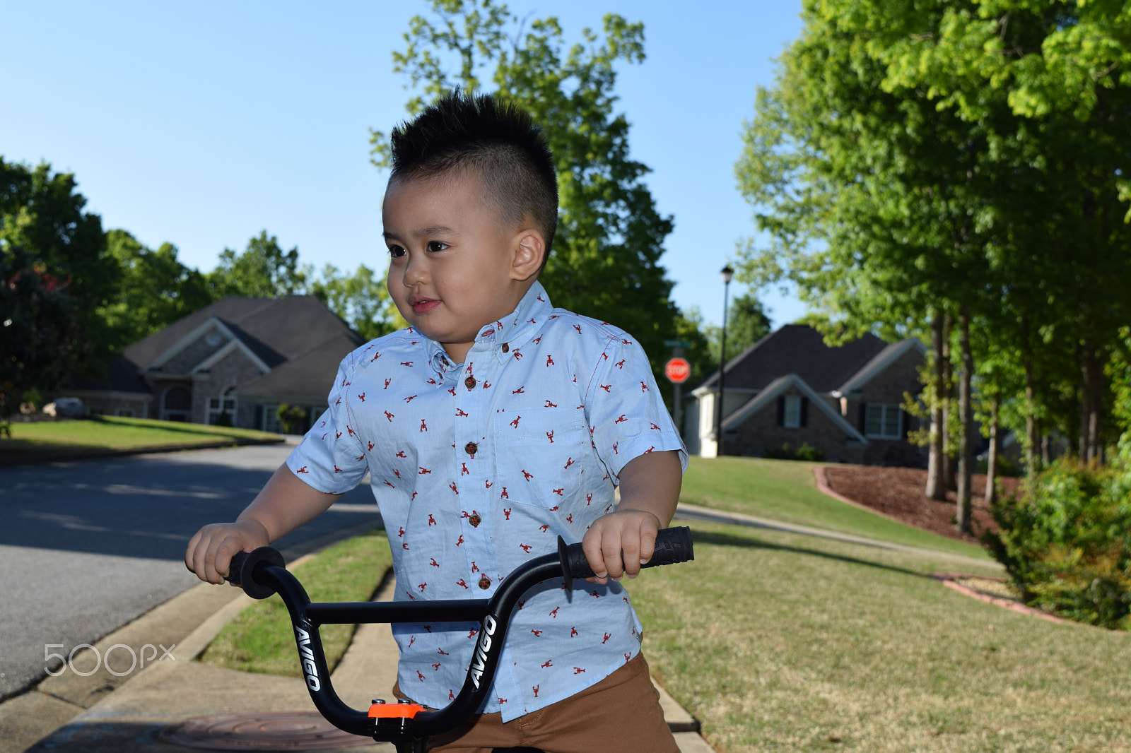 Nikon D5300 sample photo. Liam dang photography