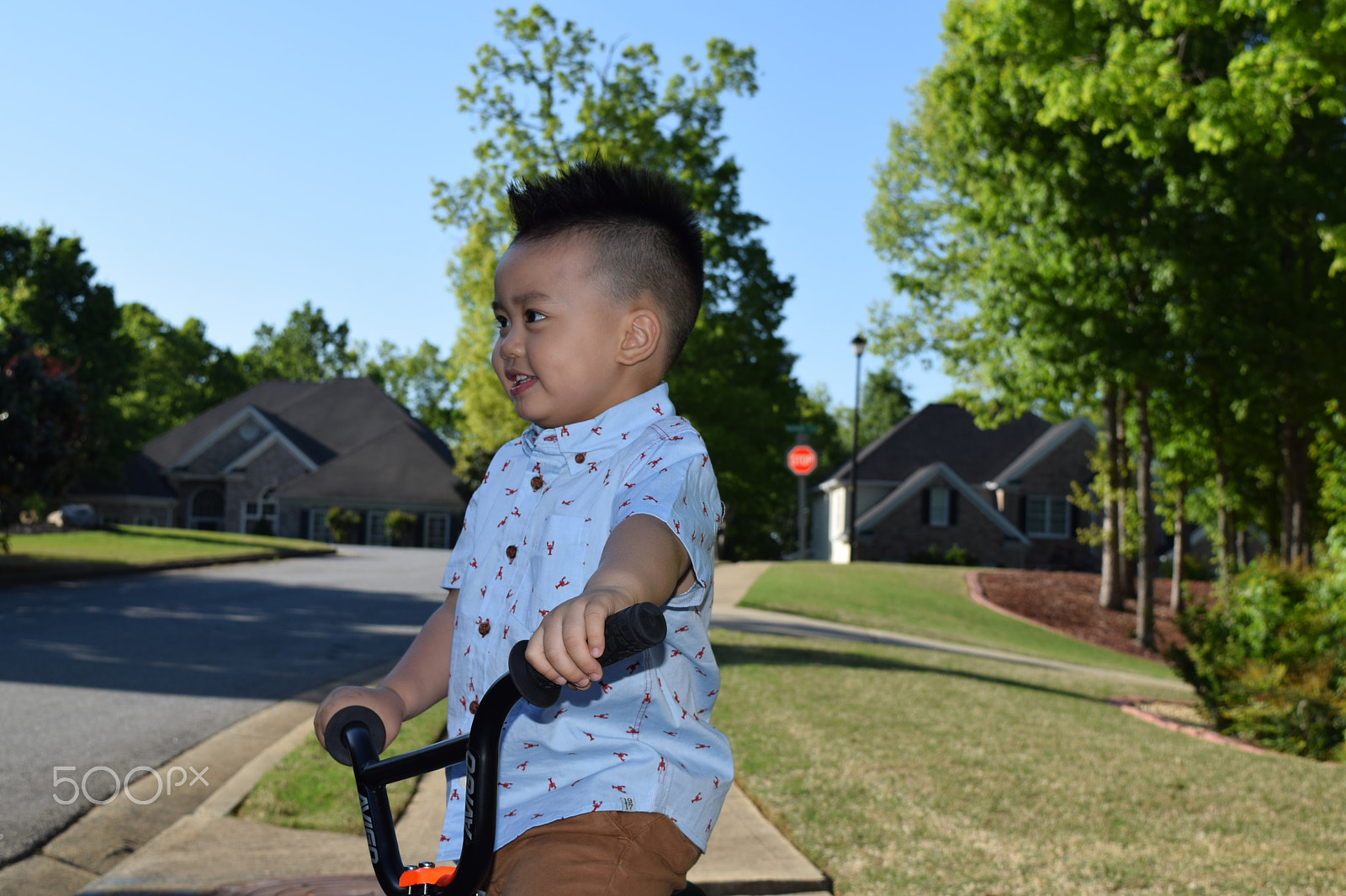 Nikon D5300 sample photo. Liam dang photography