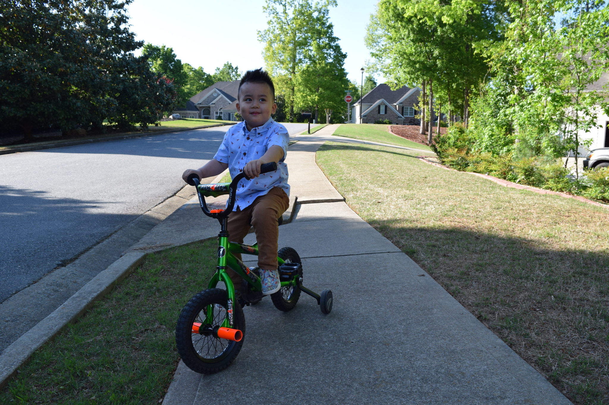 Nikon D5300 sample photo. Liam dang photography