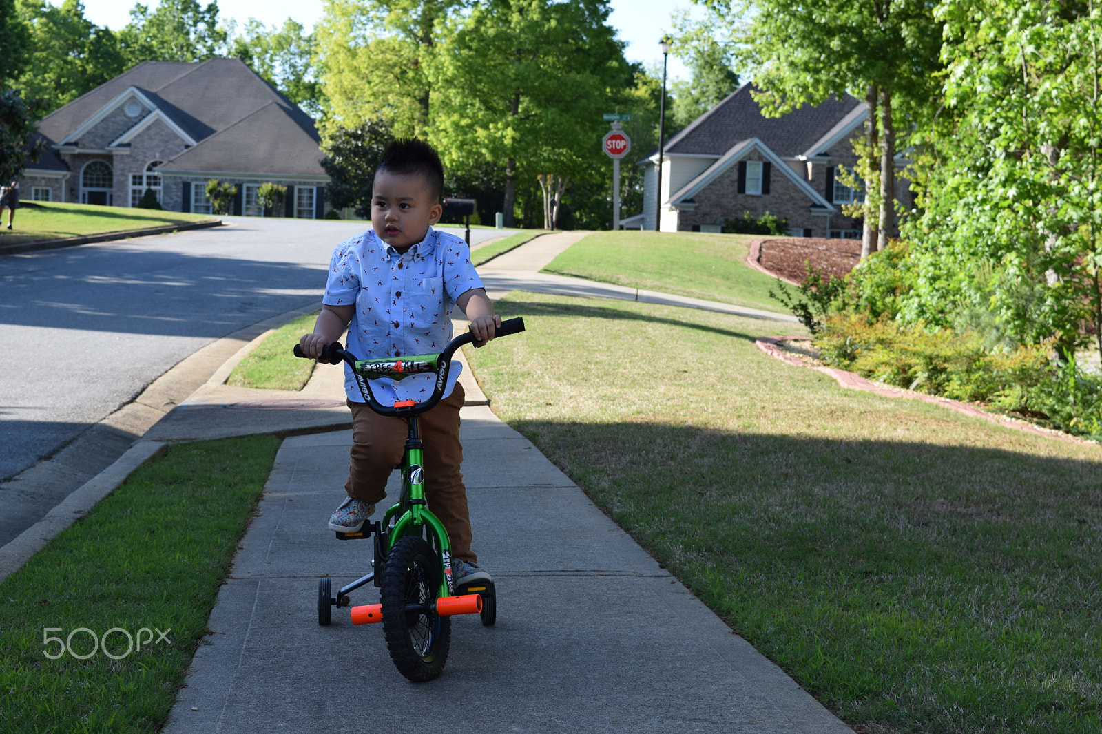 Nikon D5300 sample photo. Liam dang photography
