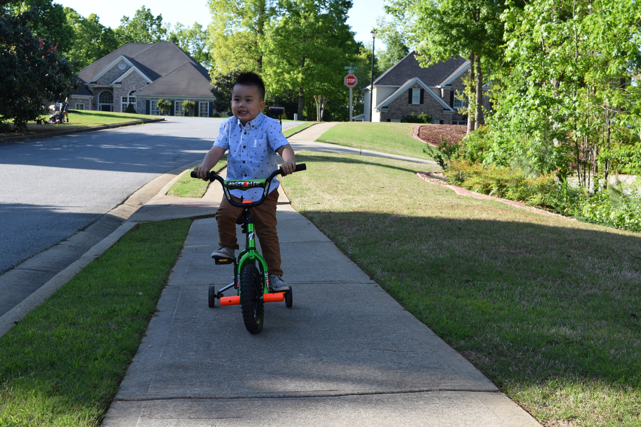 Nikon D5300 sample photo. Liam dang photography