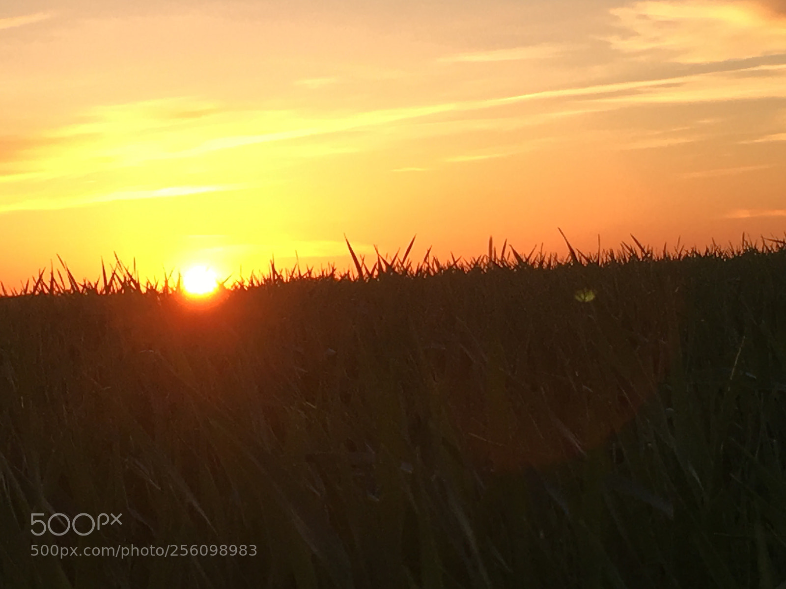 Apple iPhone 6s sample photo. Eveningmood photography