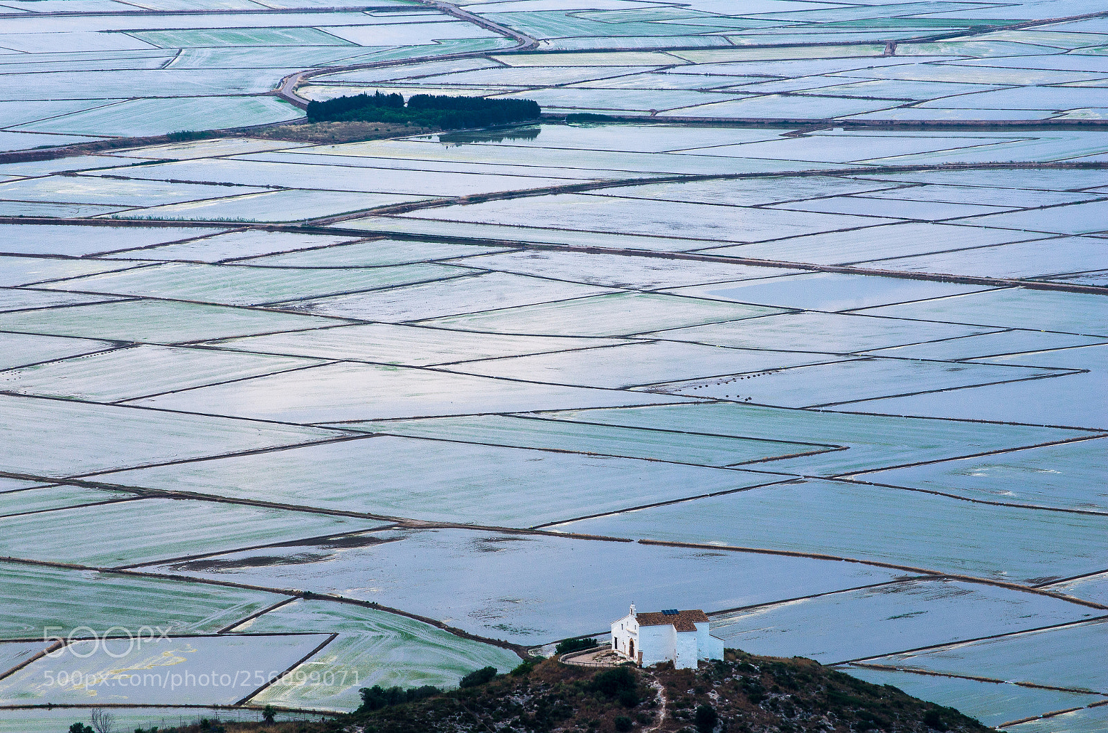 Pentax K-5 sample photo. Arrozales en cullera photography