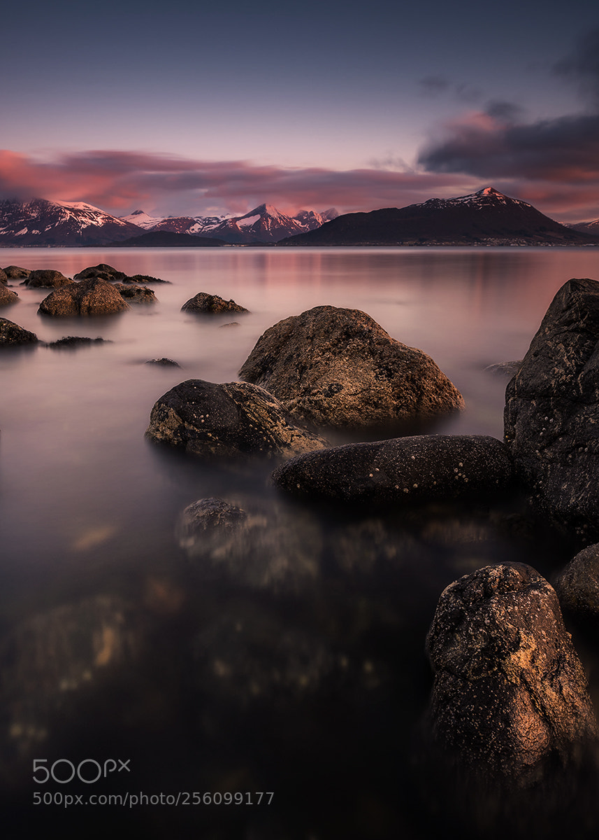 Nikon D750 sample photo. Fjords photography