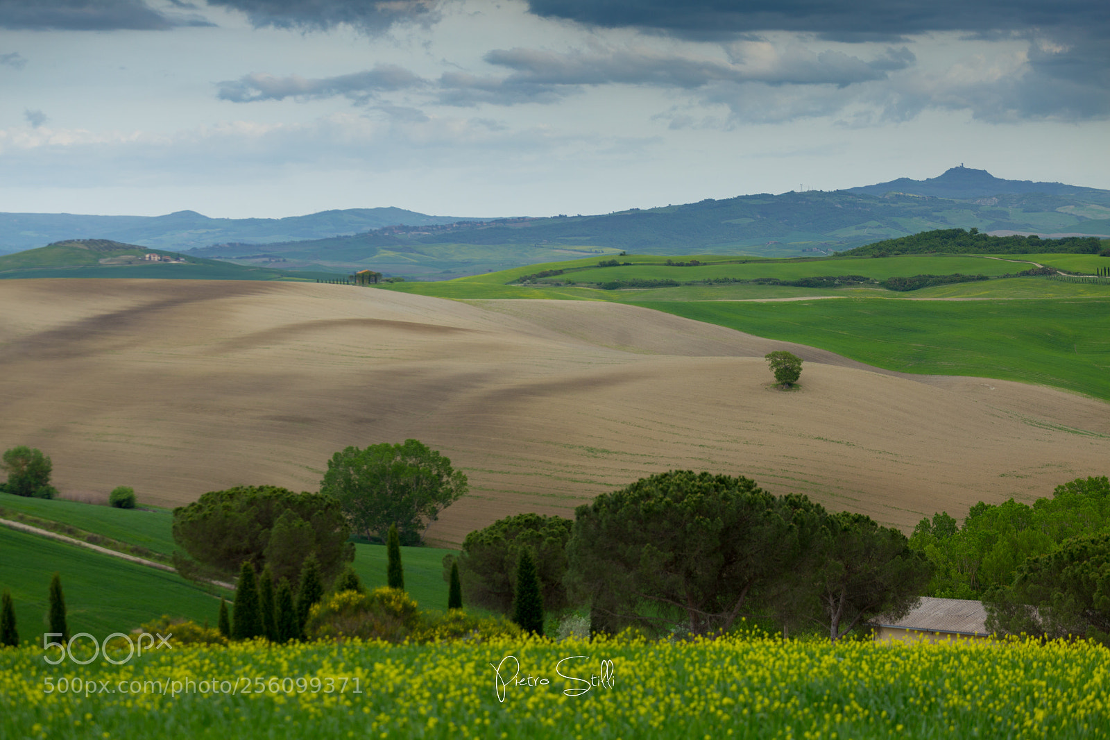 Canon EOS 6D sample photo. Val dorcia photography