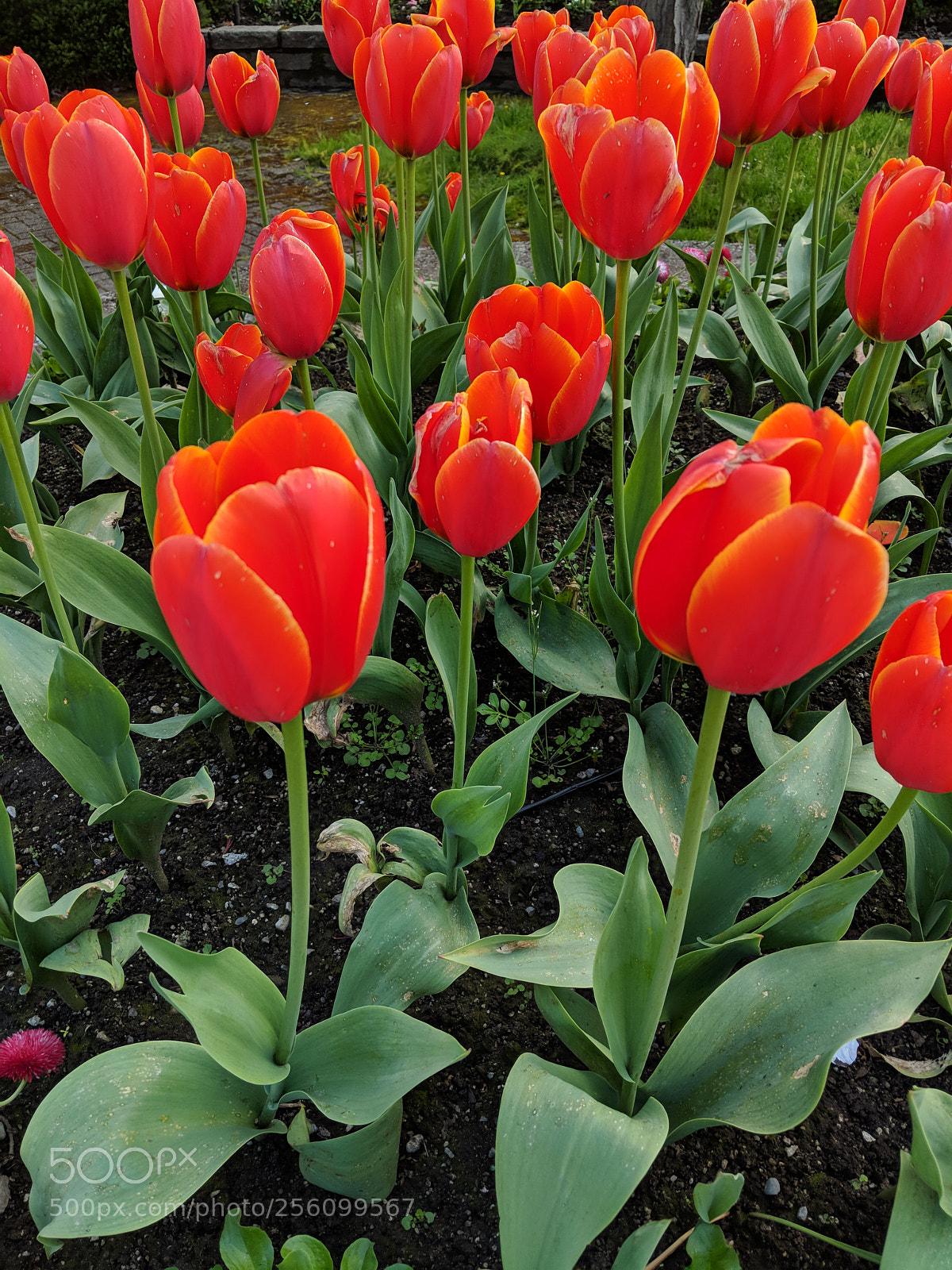 Google Pixel 2 XL sample photo. Untitled photography