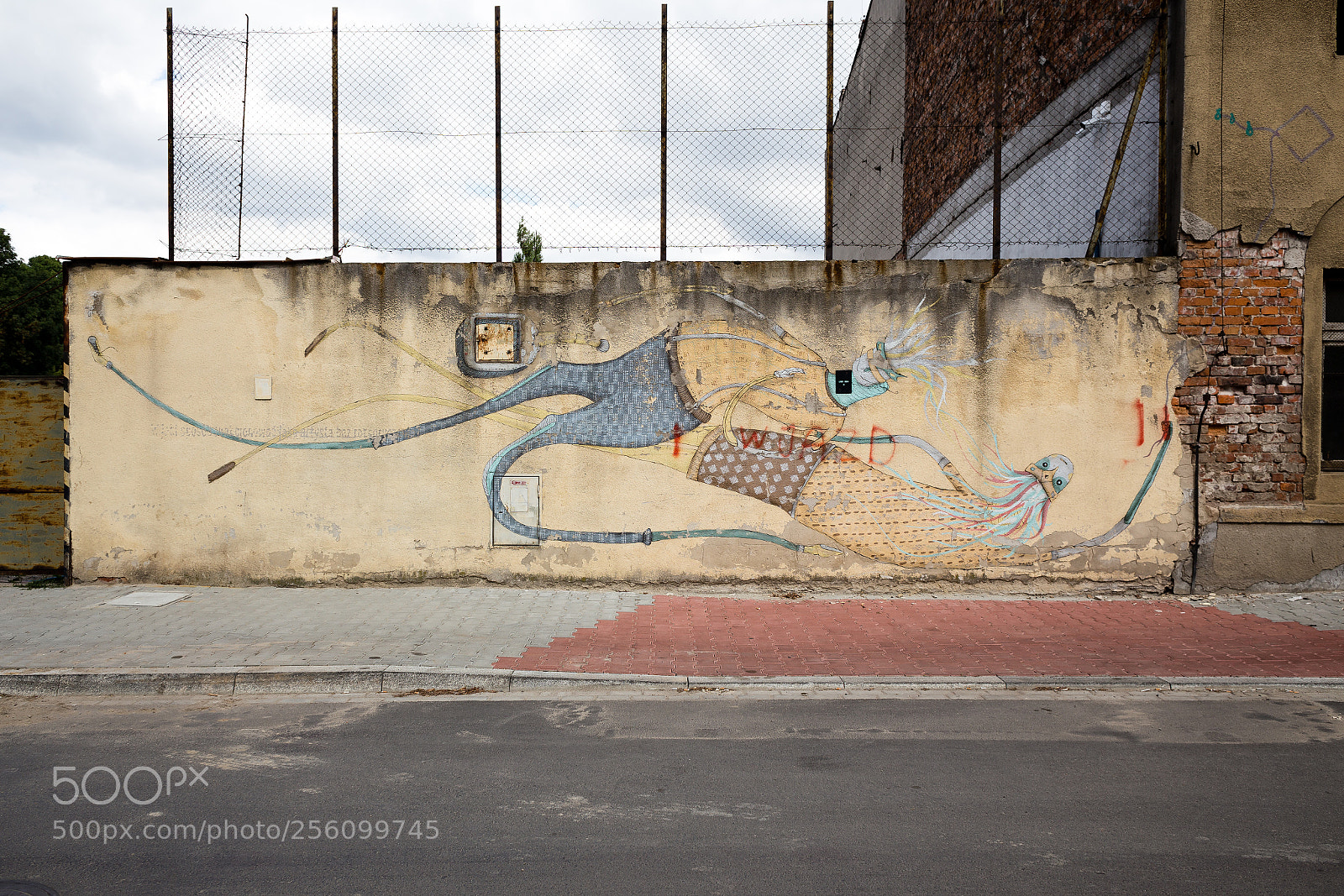 Canon EOS 6D sample photo. Mg photography