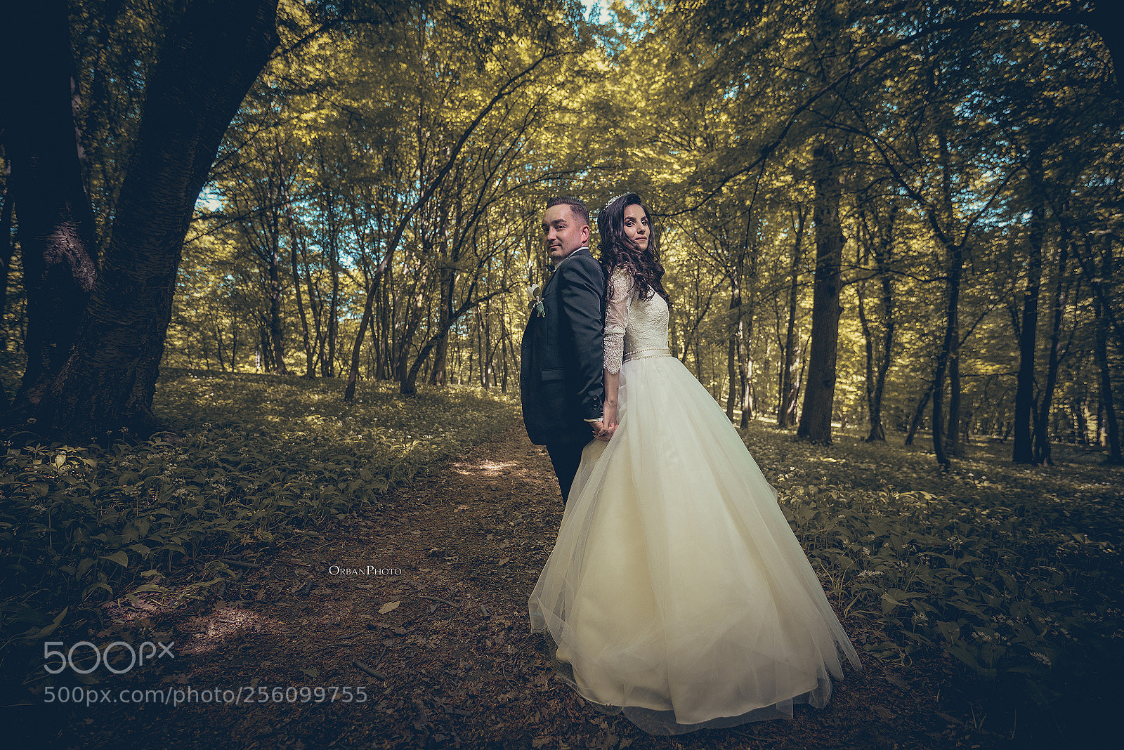 Nikon D750 sample photo. In to the woods photography