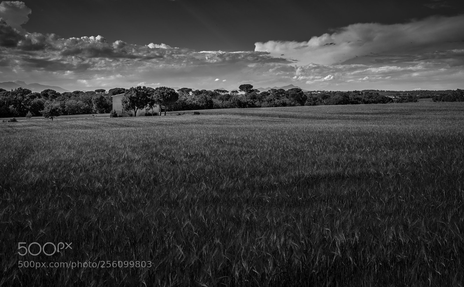 Nikon D800 sample photo. When the sky opens photography