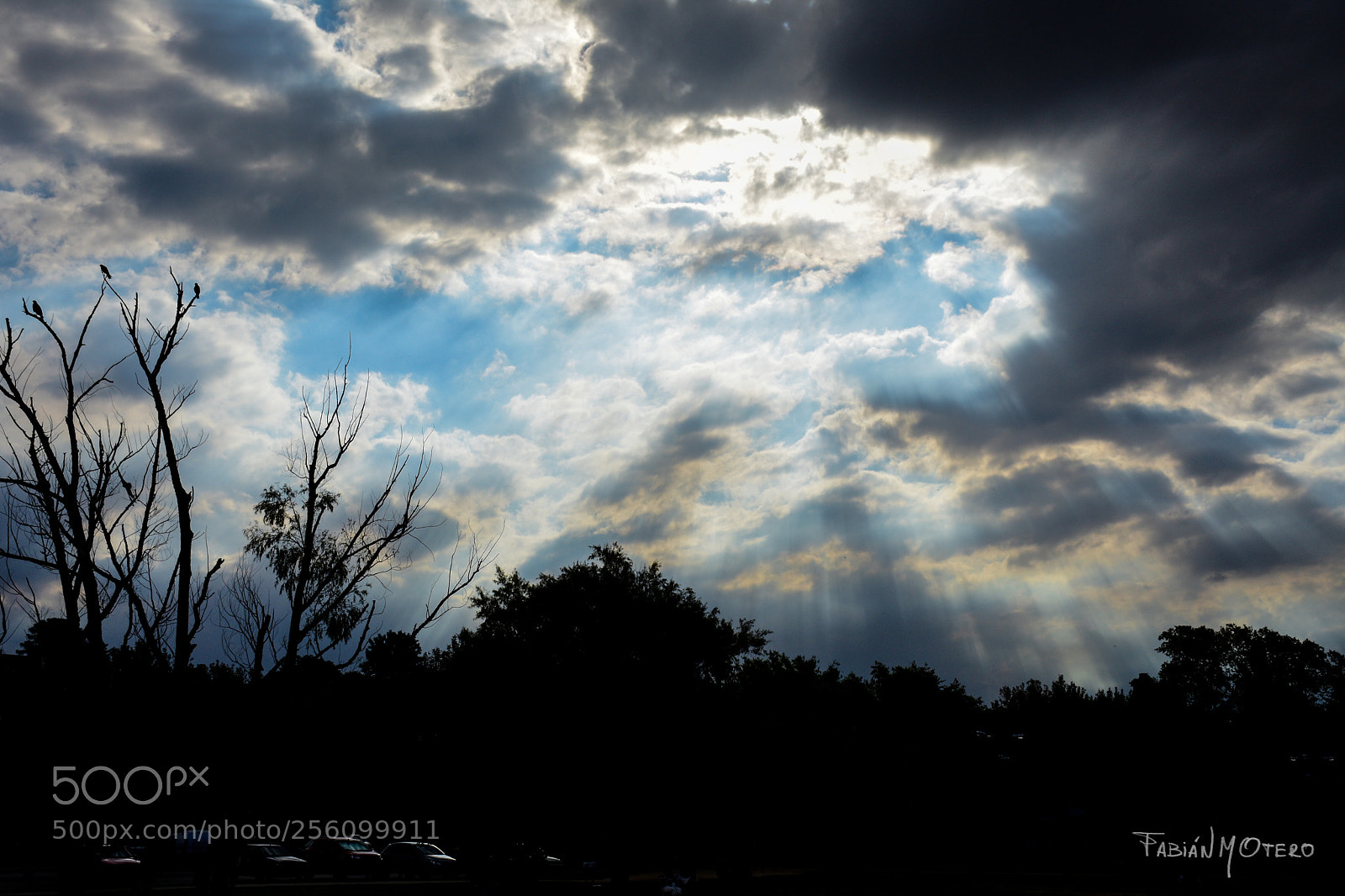 Nikon D7200 sample photo. Mystical sky photography