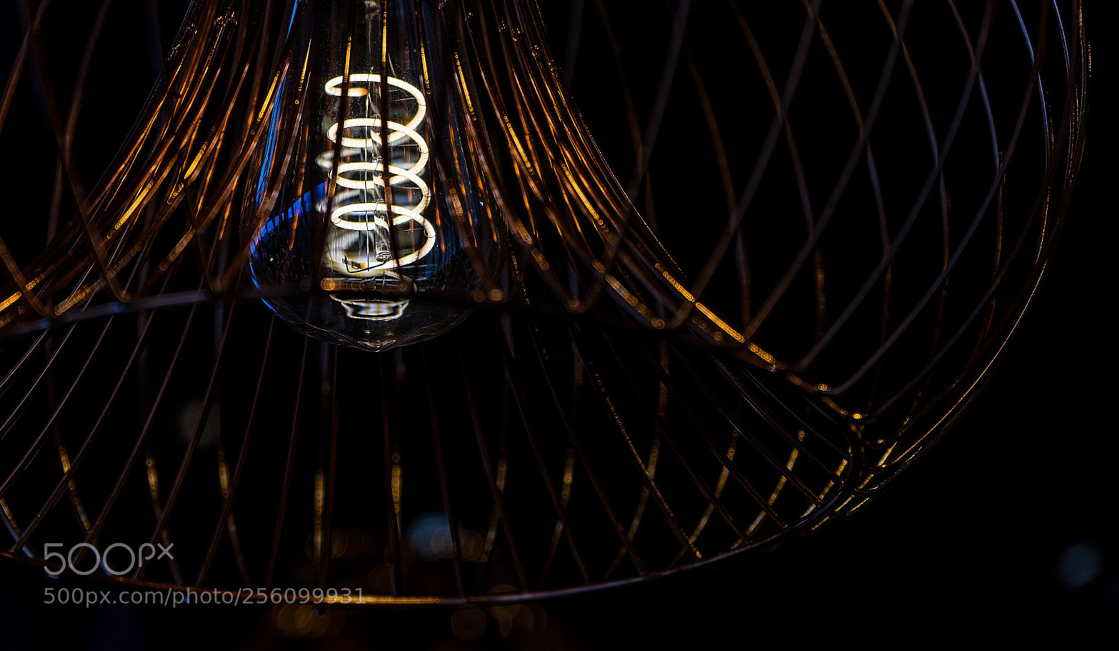 Sony a7 II sample photo. What you do not photography