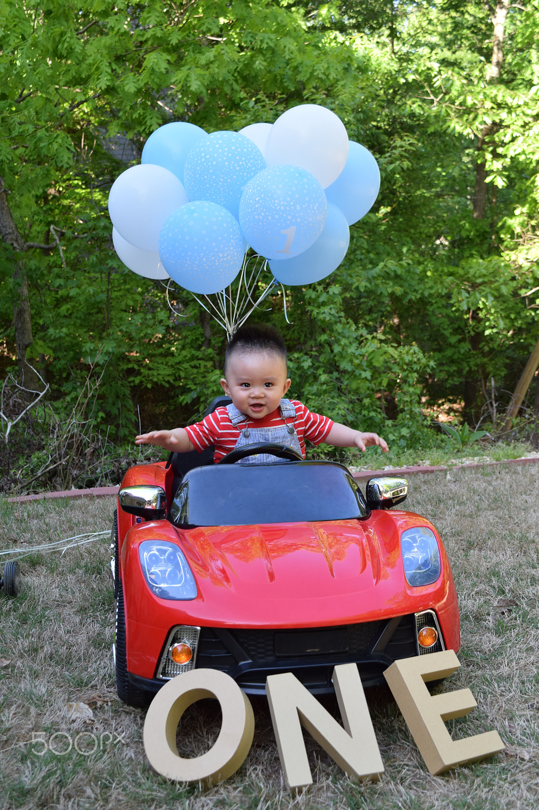 Nikon D5300 sample photo. Jackson dang photography