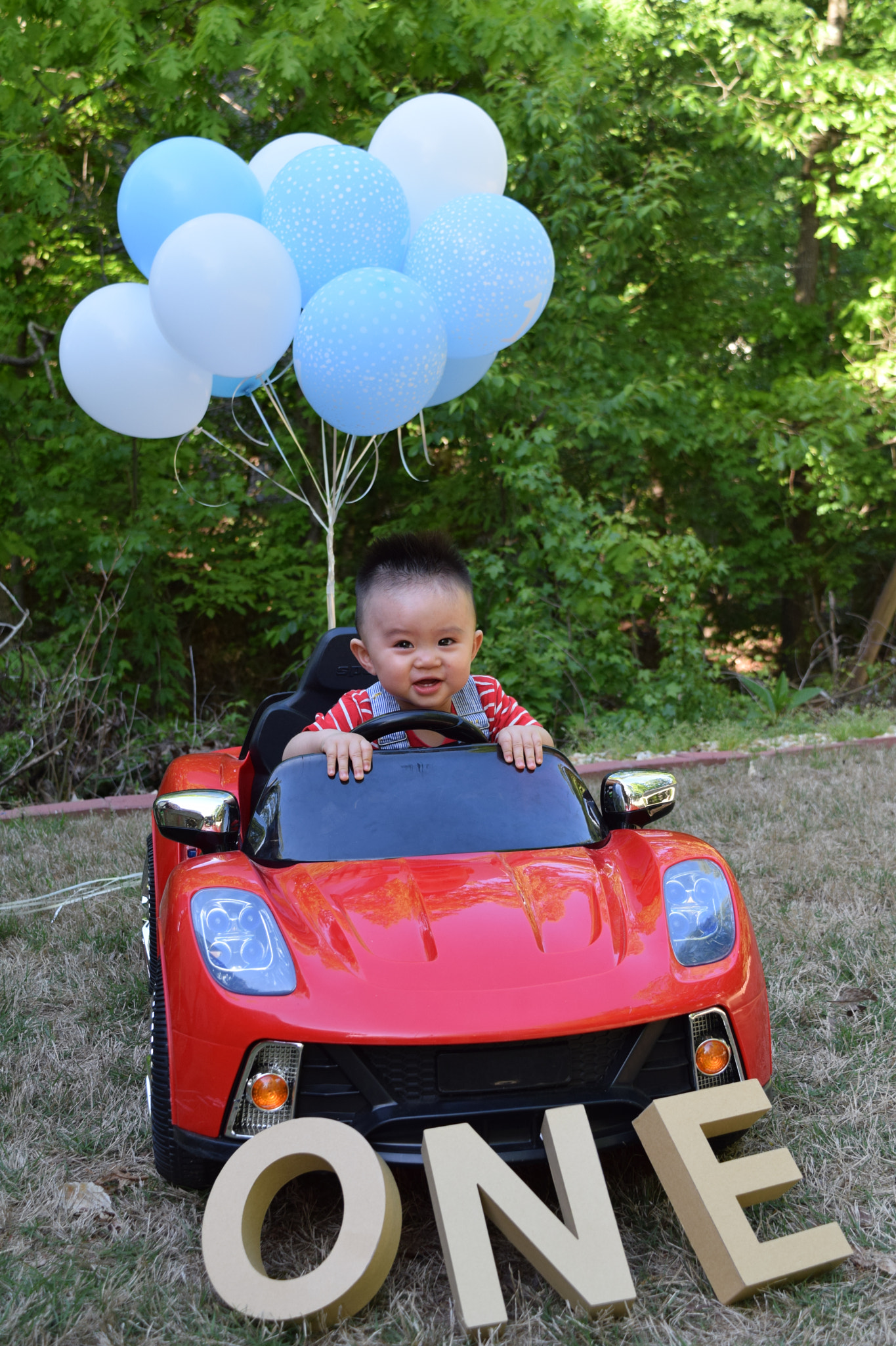 Nikon D5300 sample photo. Jackson dang photography