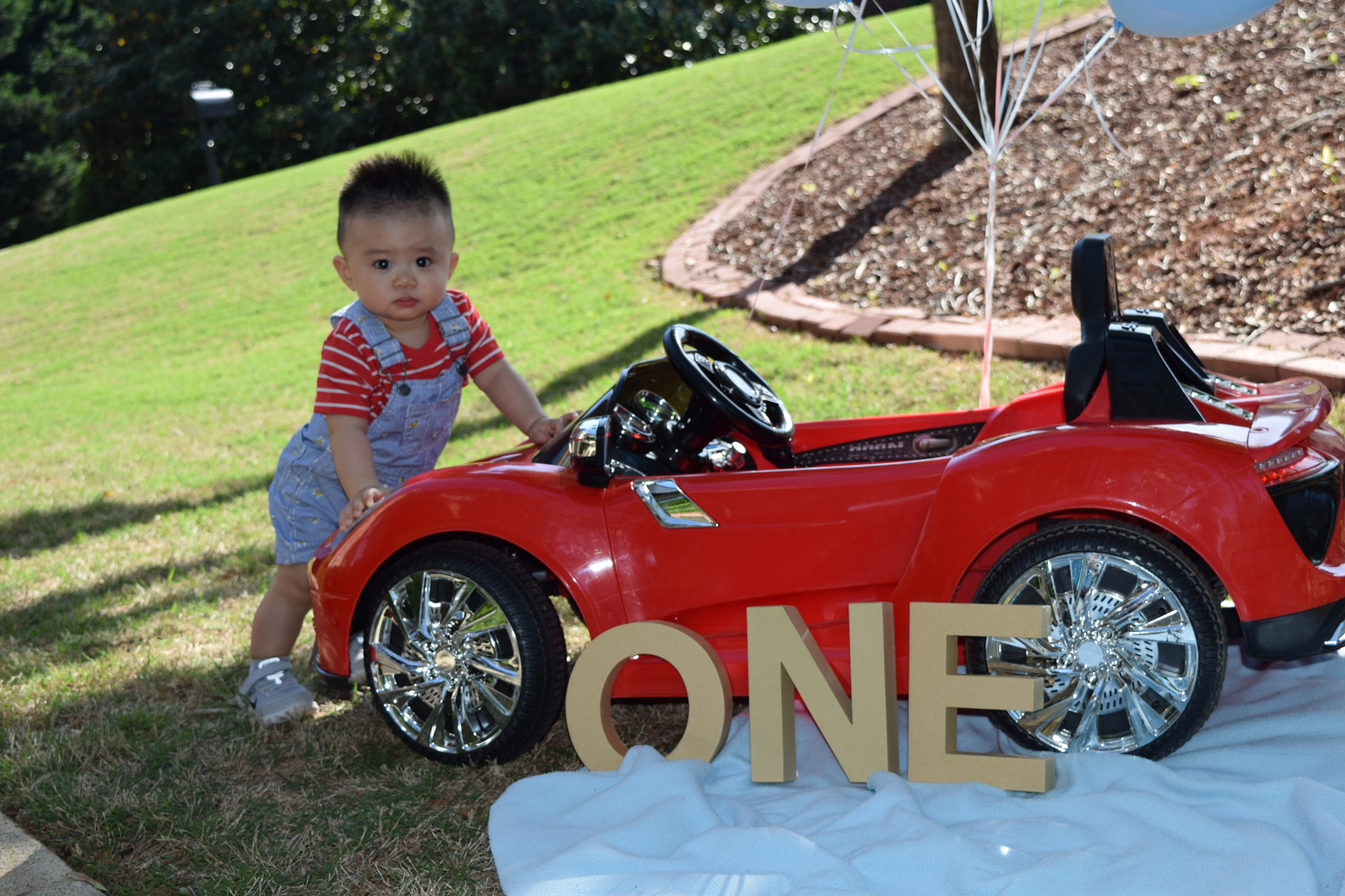 Nikon D5300 sample photo. Dsc photography