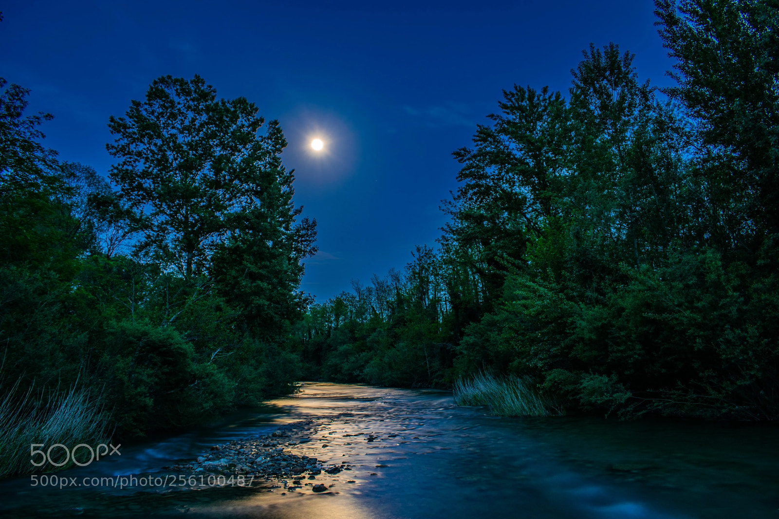 Nikon D3300 sample photo. River at the moonshine photography