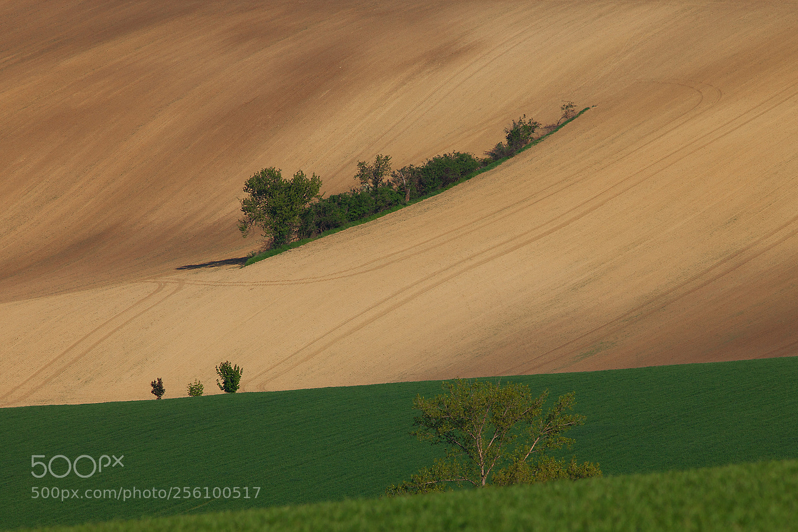 Canon EOS 5D Mark II sample photo. Island photography