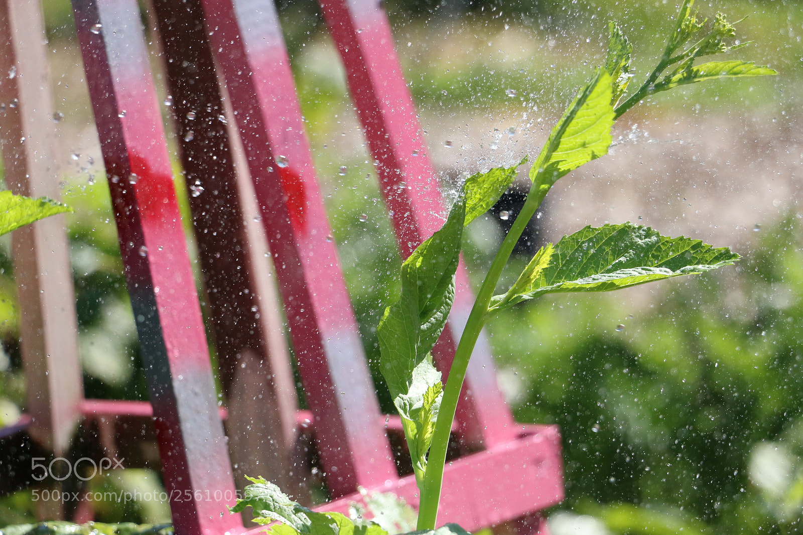 Canon EOS 70D sample photo. Frozen in time photography