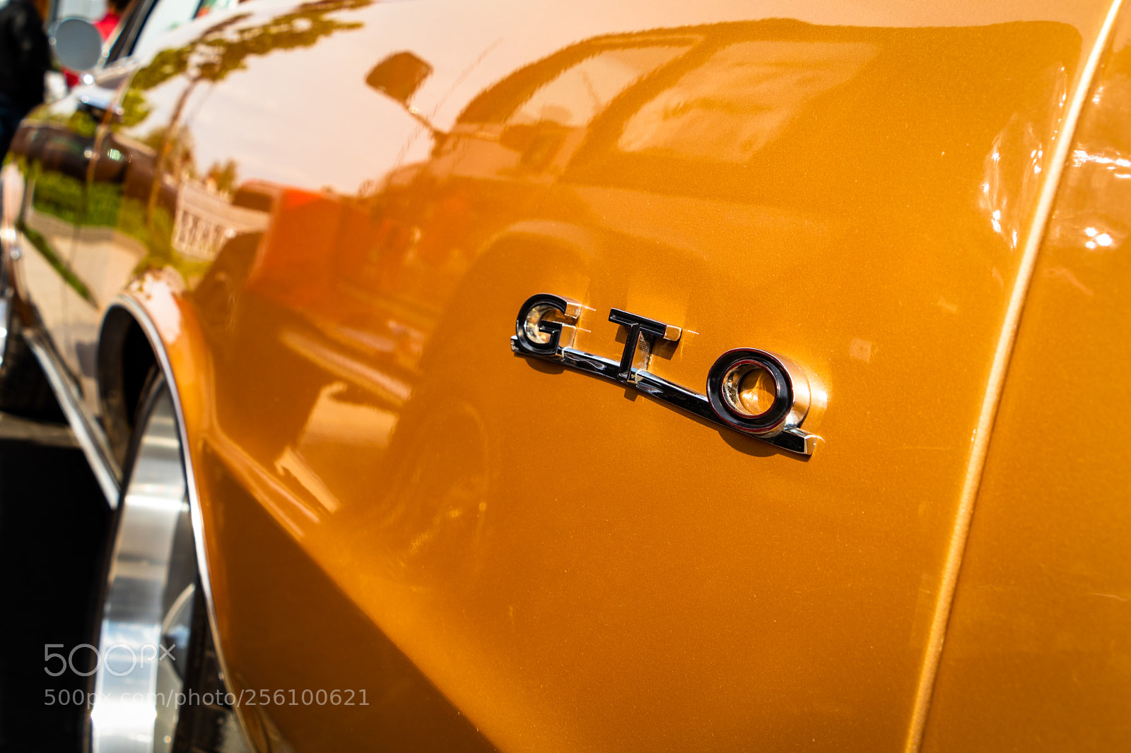 Canon EOS 80D sample photo. Gto photography