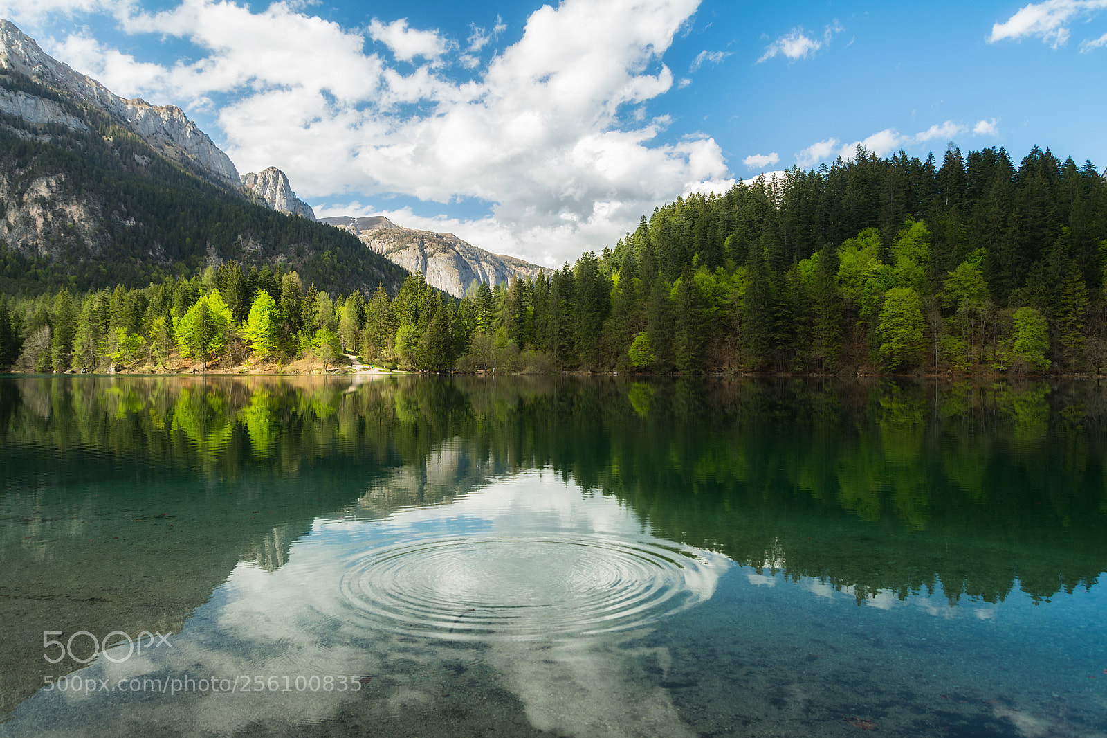 Nikon D7100 sample photo. Lago di tovel photography