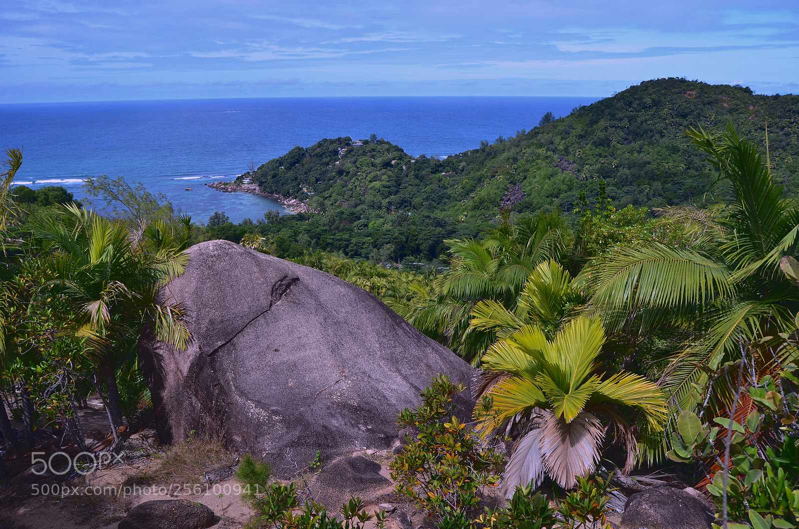 Nikon D5100 sample photo. From the top photography