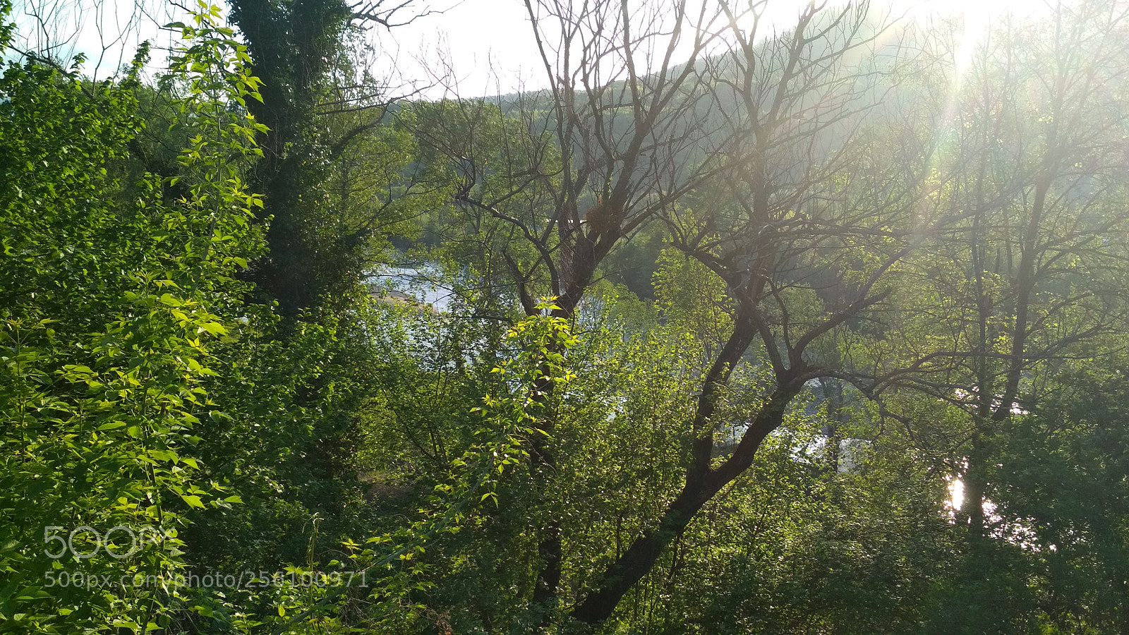 Xiaomi Redmi 4X sample photo. Untitled photography