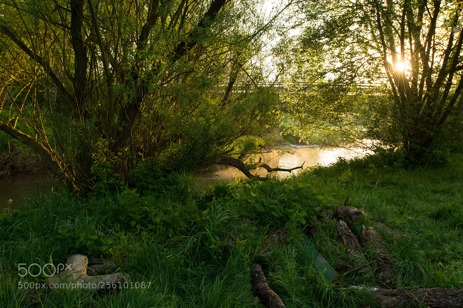 Nikon D7200 sample photo. By the river photography