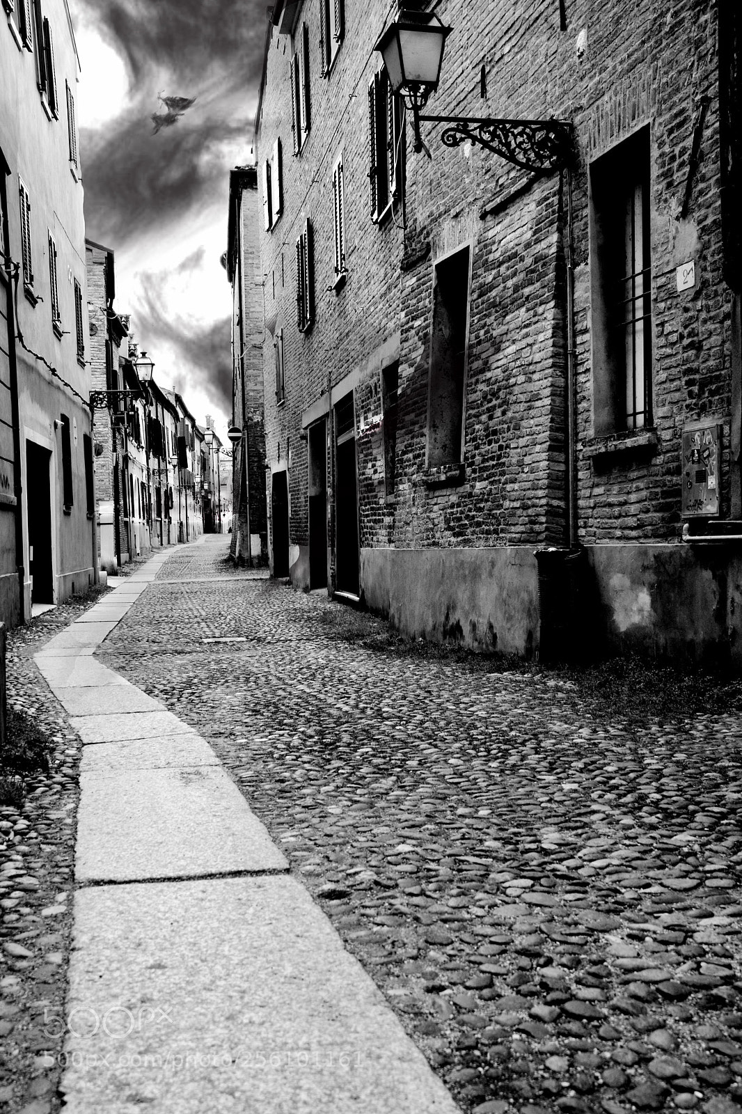 Nikon D5300 sample photo. Ferrara photography