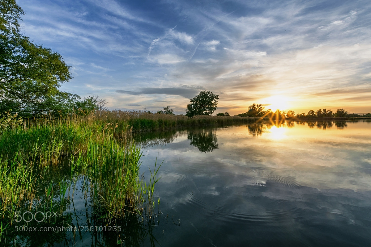 Nikon D5300 sample photo. Sunset photography