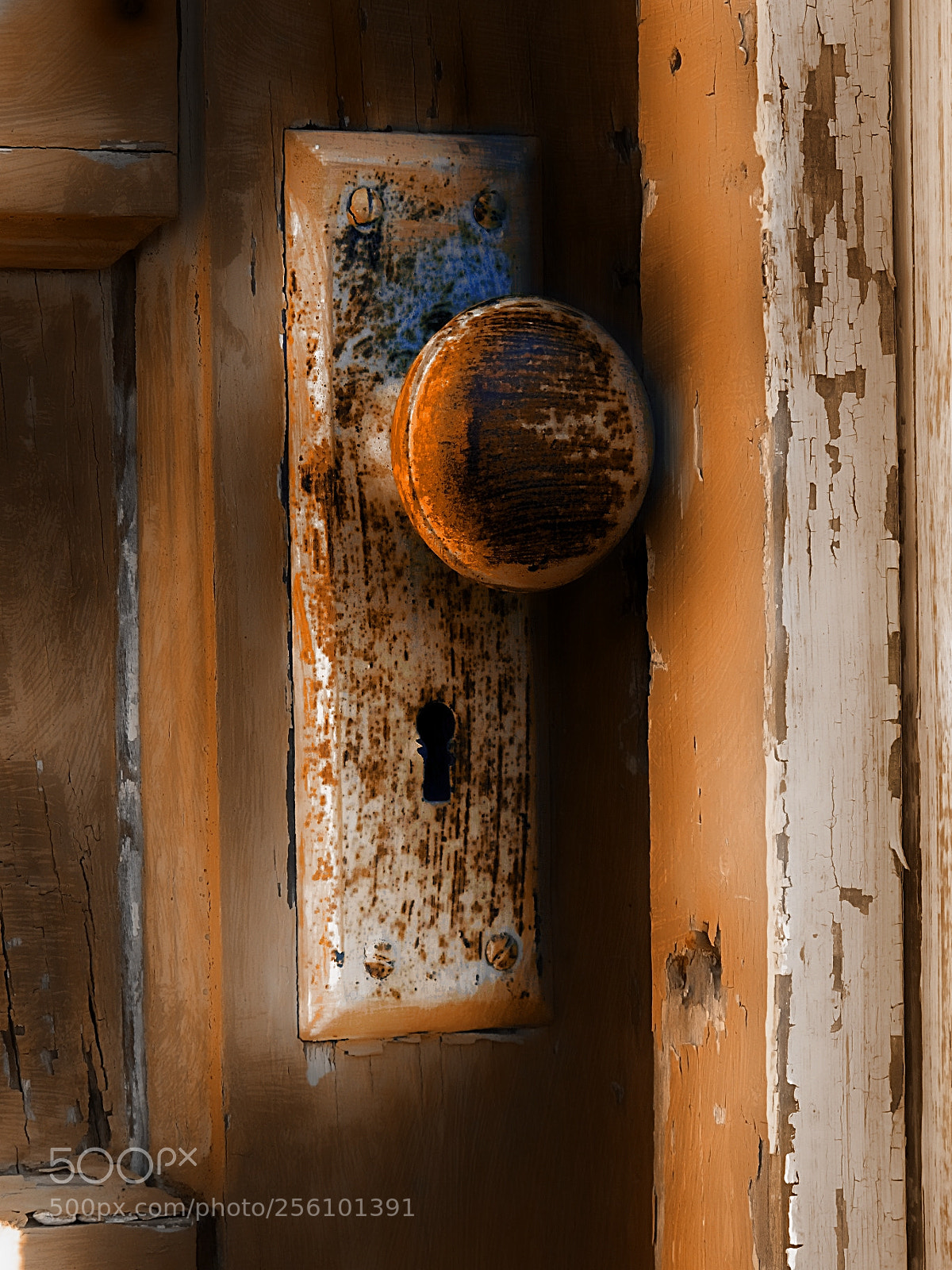 Canon PowerShot G11 sample photo. The door photography