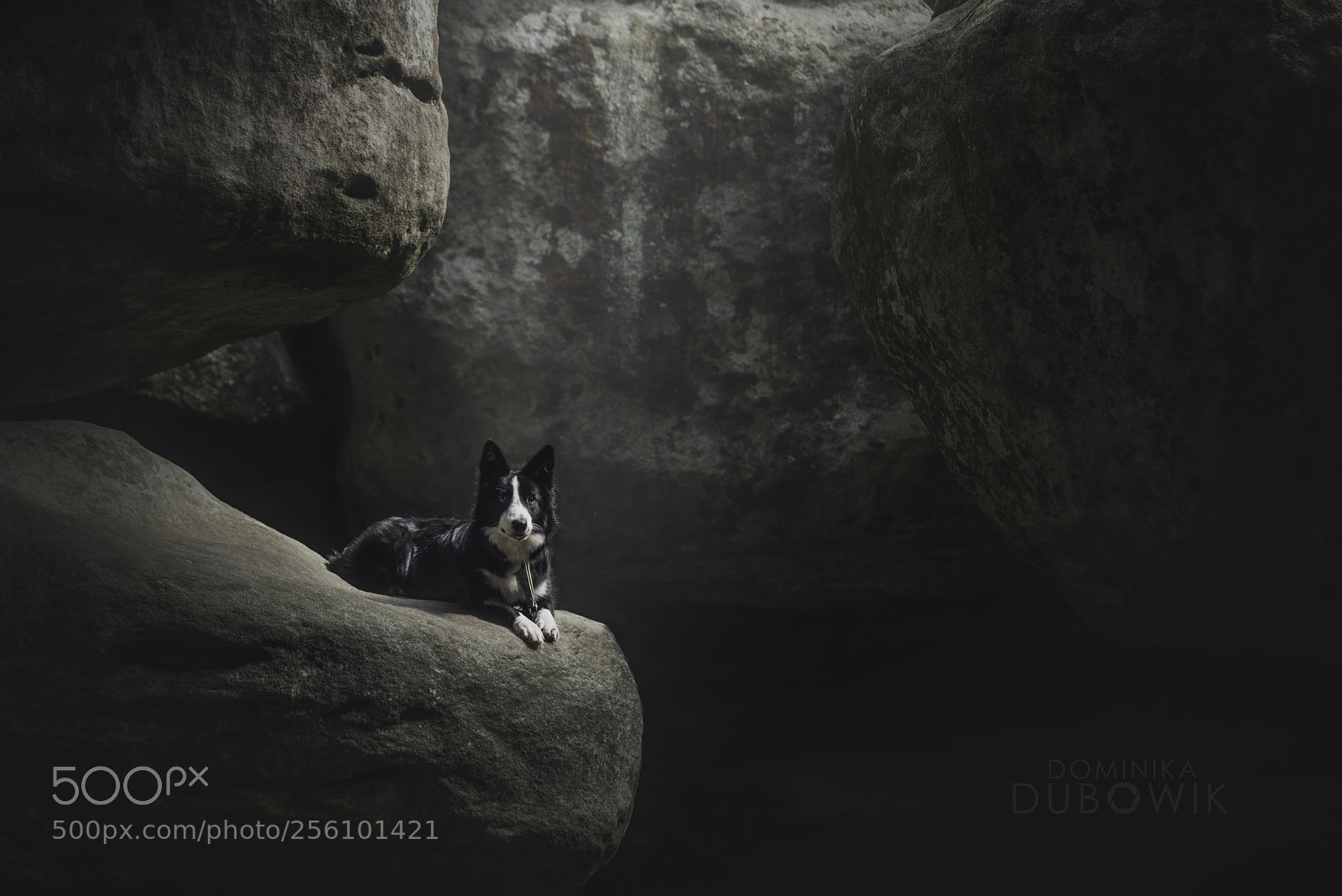 Nikon D600 sample photo. Lost in errant rocks photography