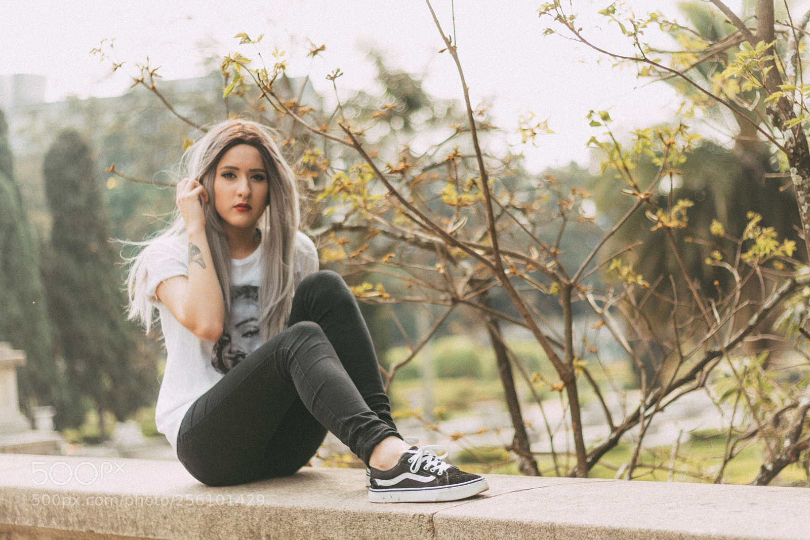 Canon EOS 80D sample photo. Jhessy zocchio photography