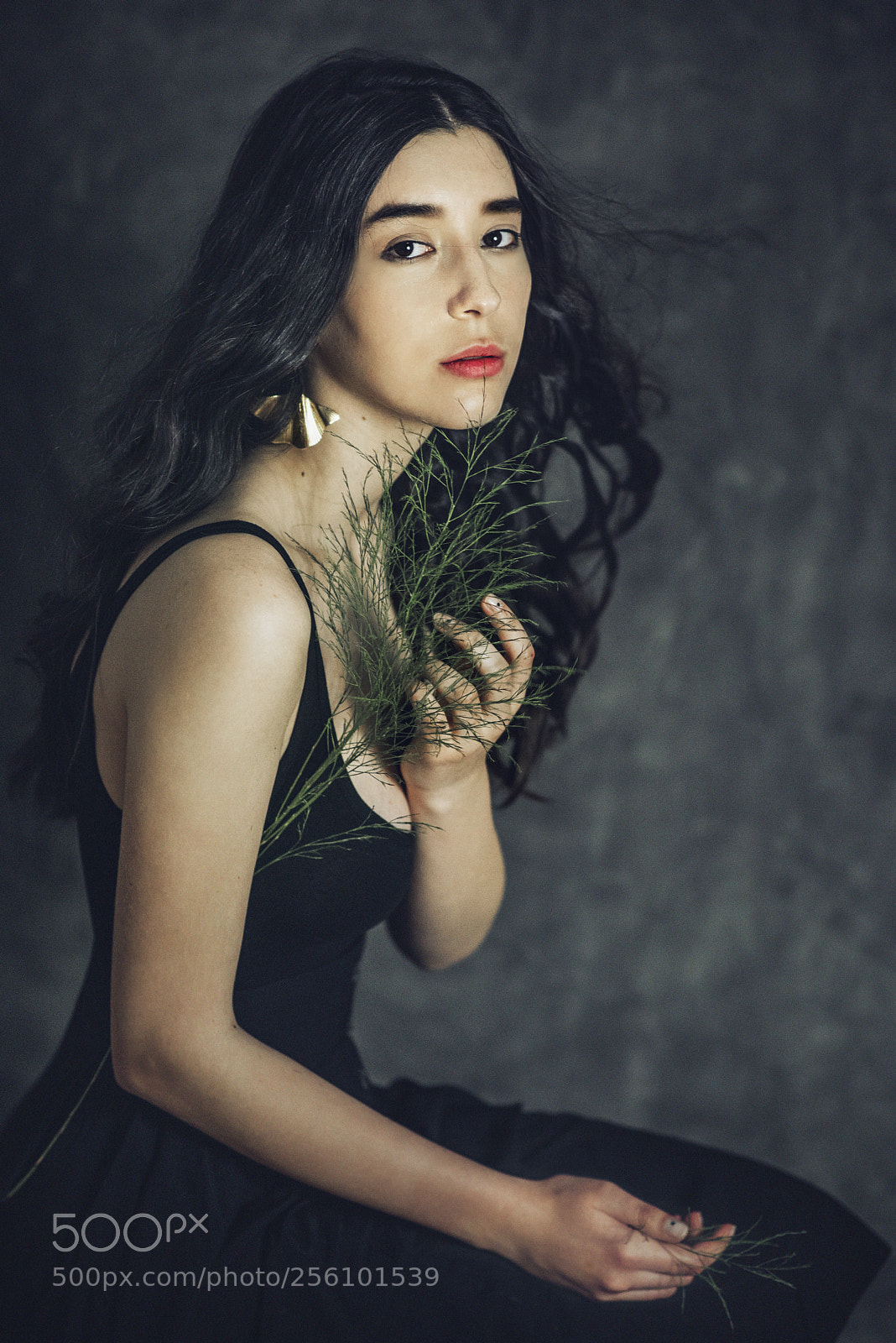 Nikon D810 sample photo. Soft touch photography