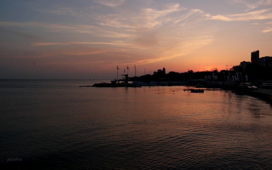 Samsung NX1 sample photo. ... photography