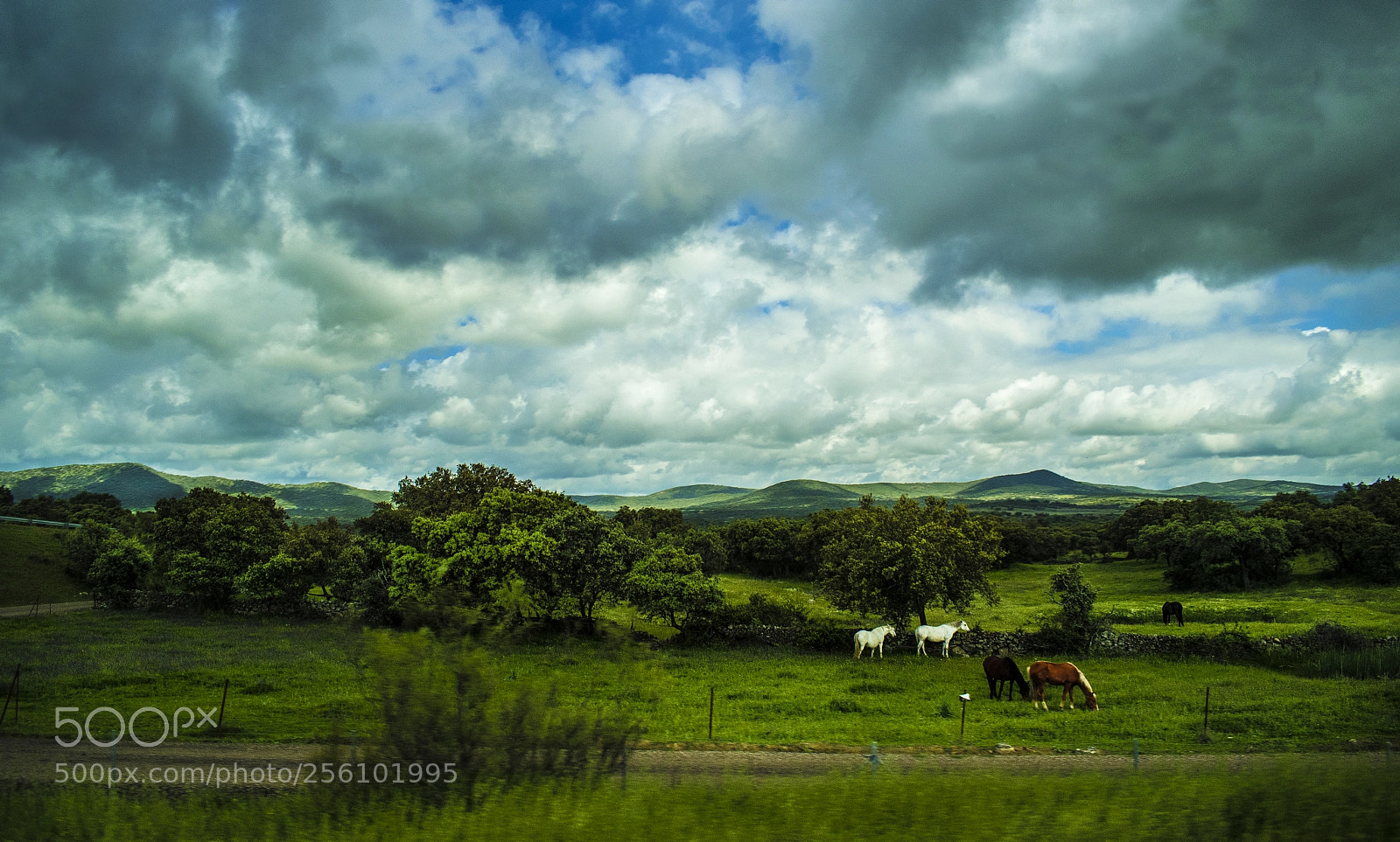 Nikon D3300 sample photo. Journey trough spain photography