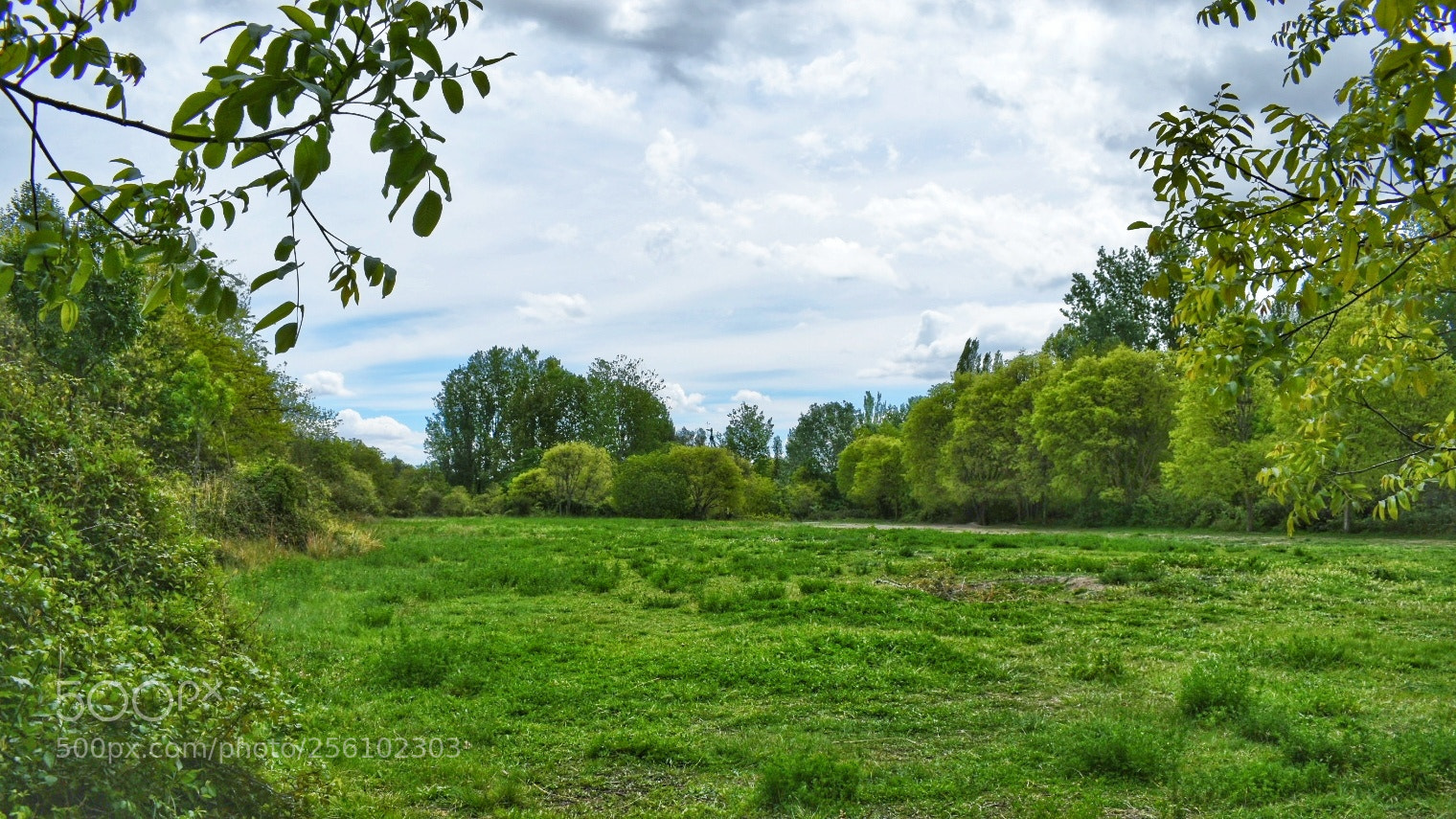 Nikon D5600 sample photo. The last land.. photography