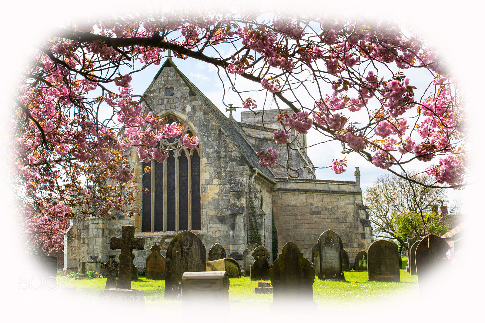 Nikon D5200 sample photo. Riccall church in bloom photography