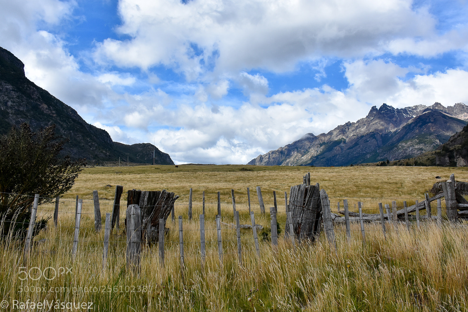Nikon D7200 sample photo. Postal de carretera austral photography