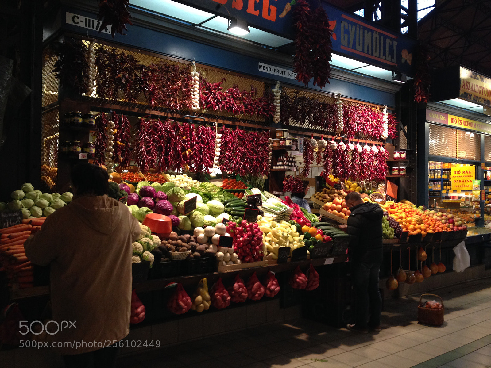 Apple iPhone 5 sample photo. Img photography