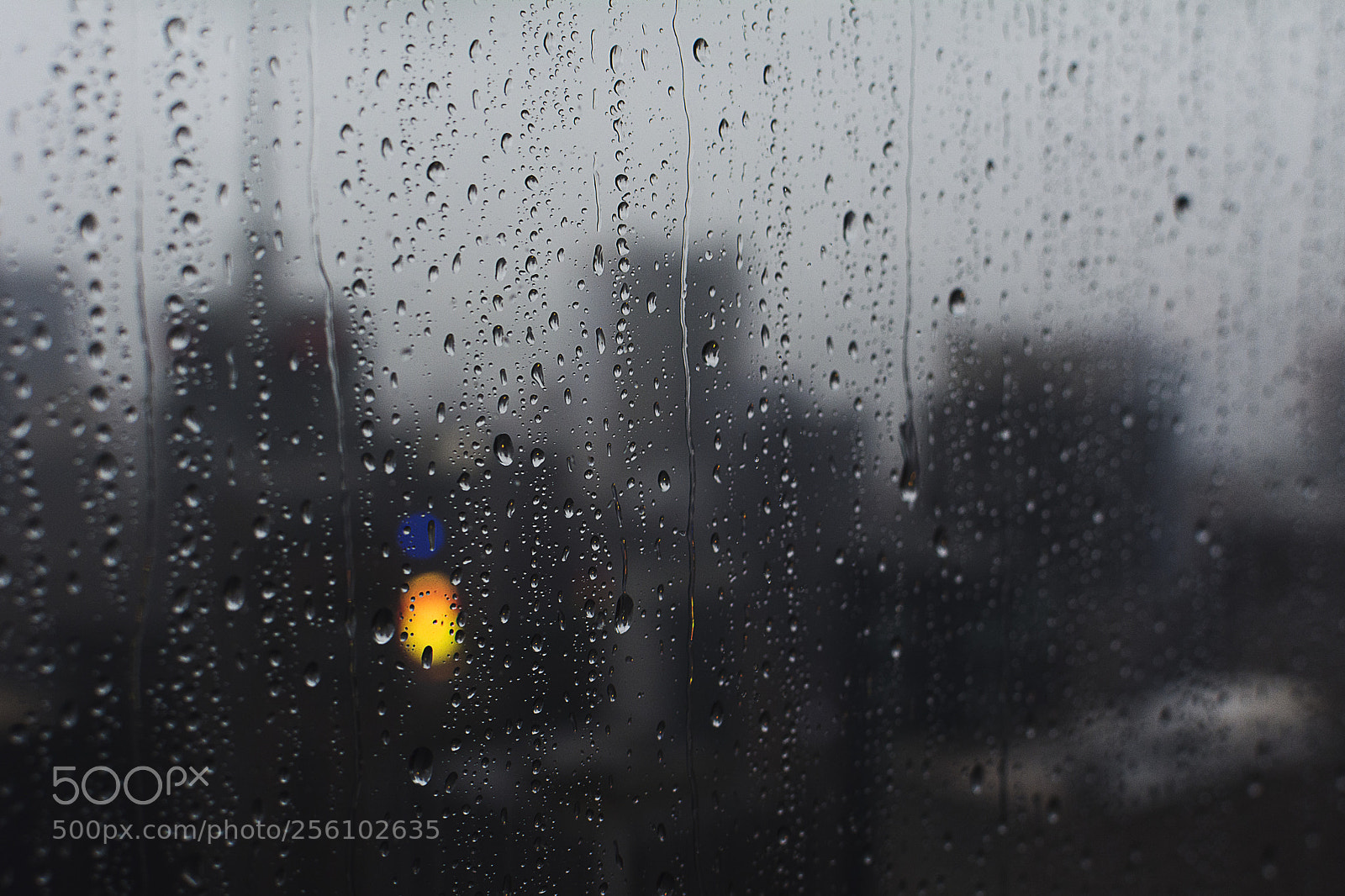 Nikon D5200 sample photo. Lights photography