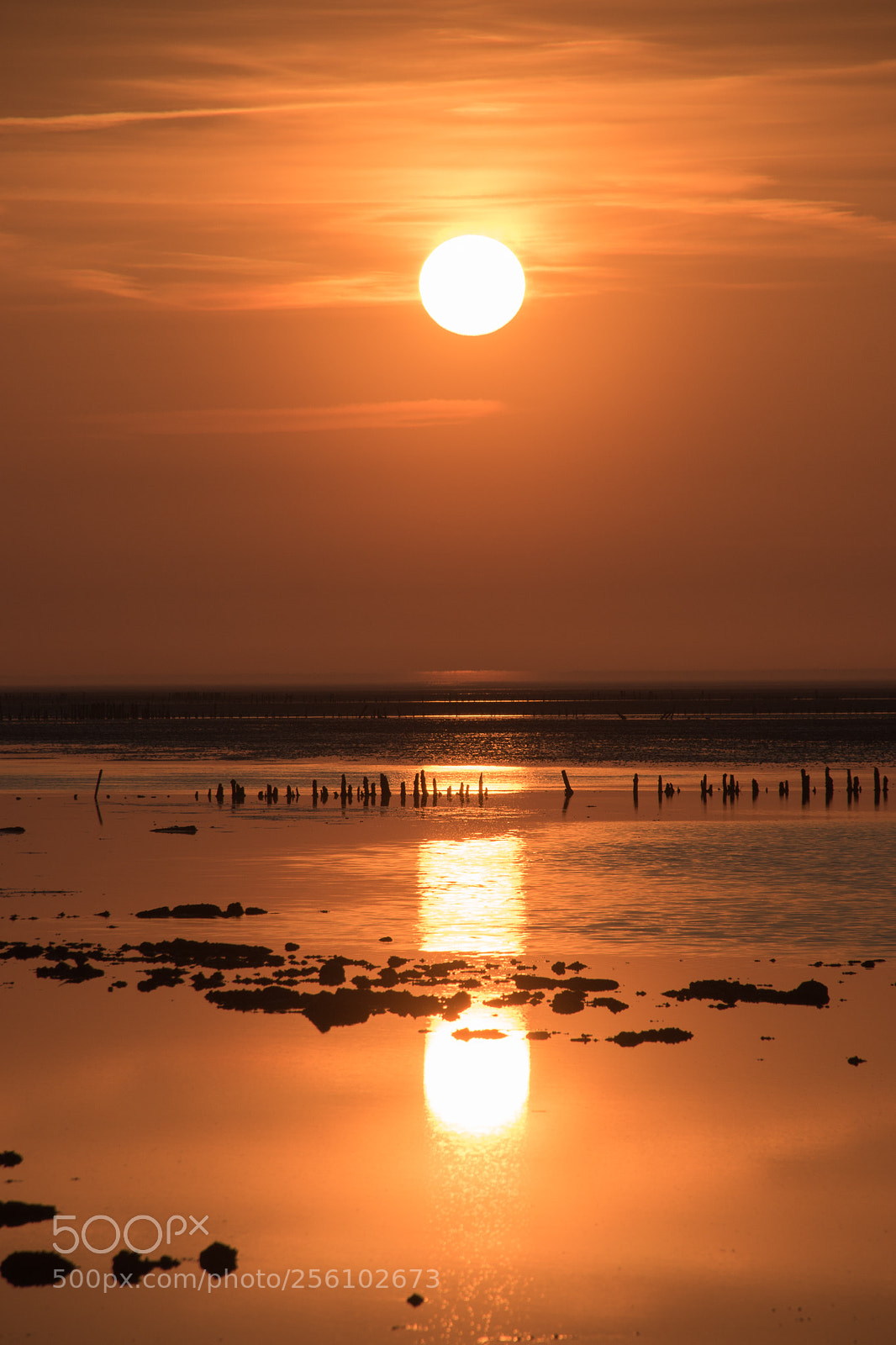 Sony SLT-A99V sample photo. I saw the light... photography