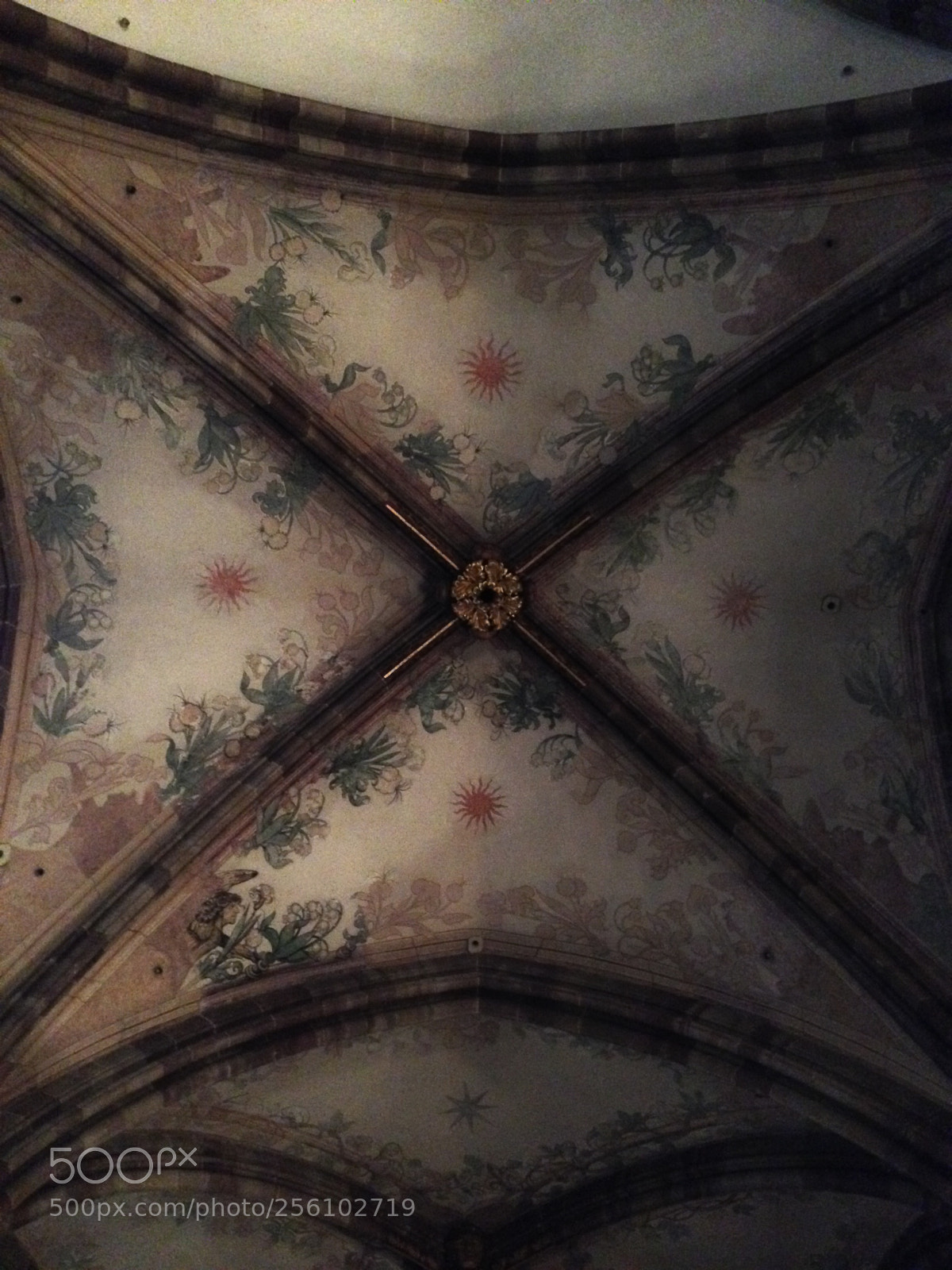 Apple iPhone 5 sample photo. Img photography