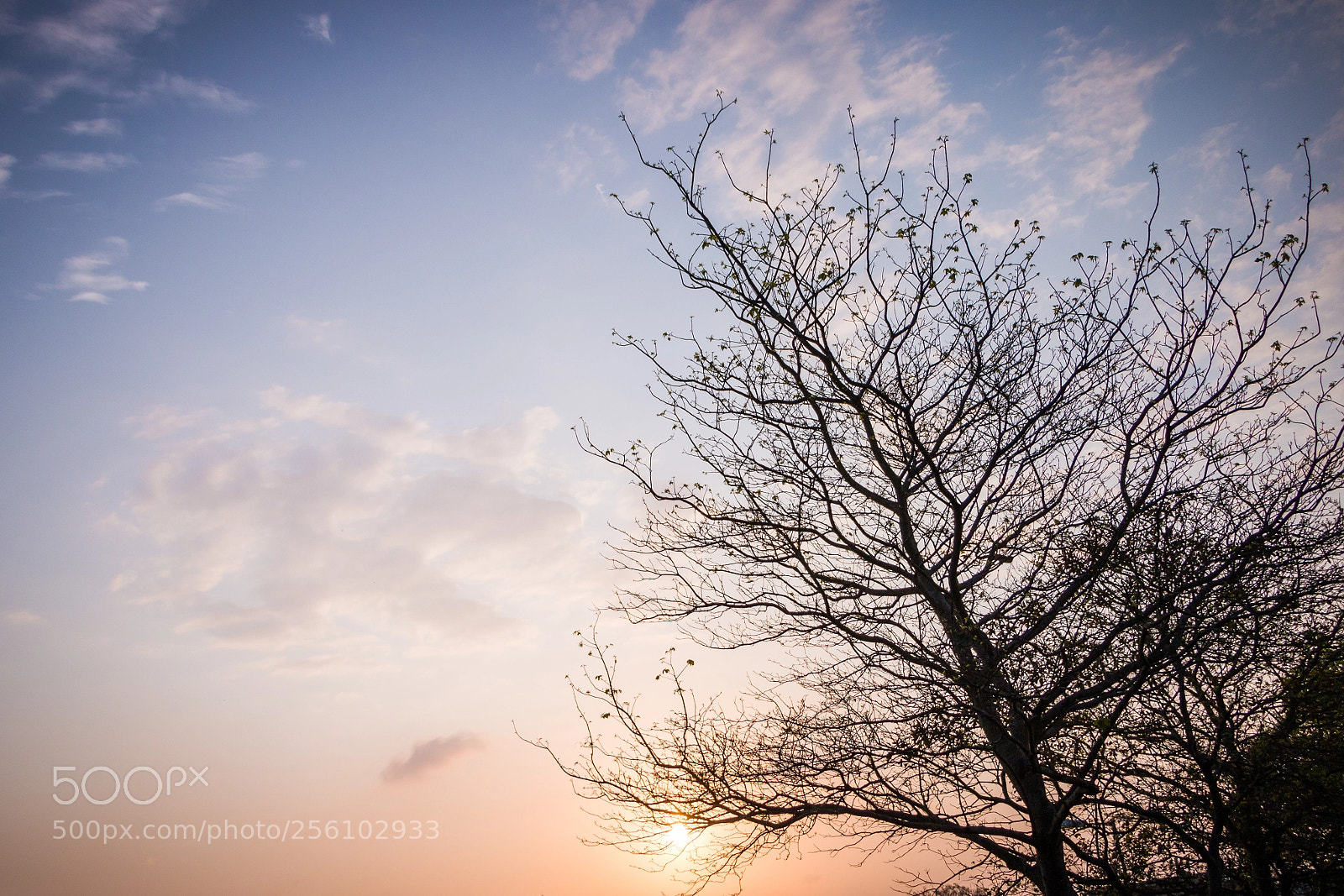 Canon EOS 70D sample photo. Profound mind. photography