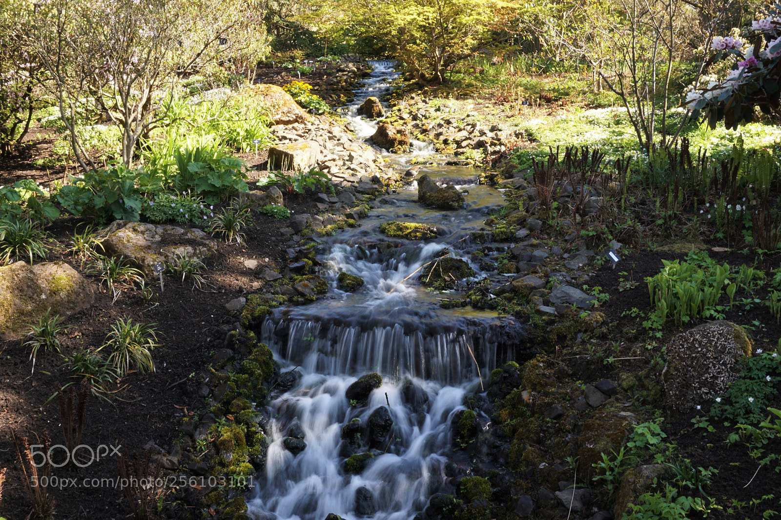 Sony a6000 sample photo. Stream waterfall photography