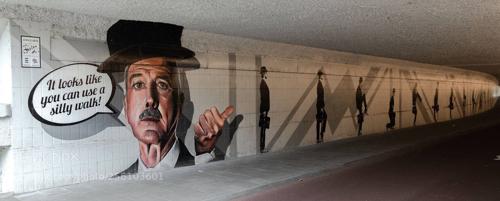 Canon EOS 80D sample photo. Silly walks tunnel photography