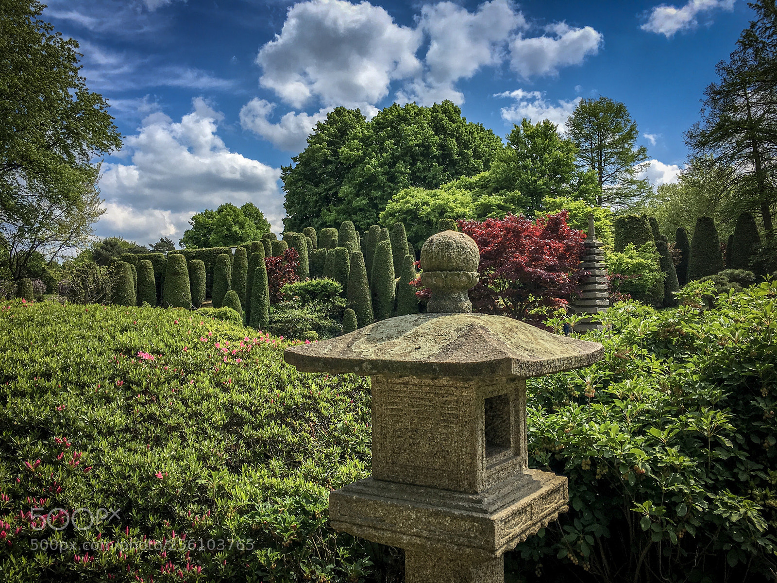 Apple iPhone 6s sample photo. Japan garden, bonn photography