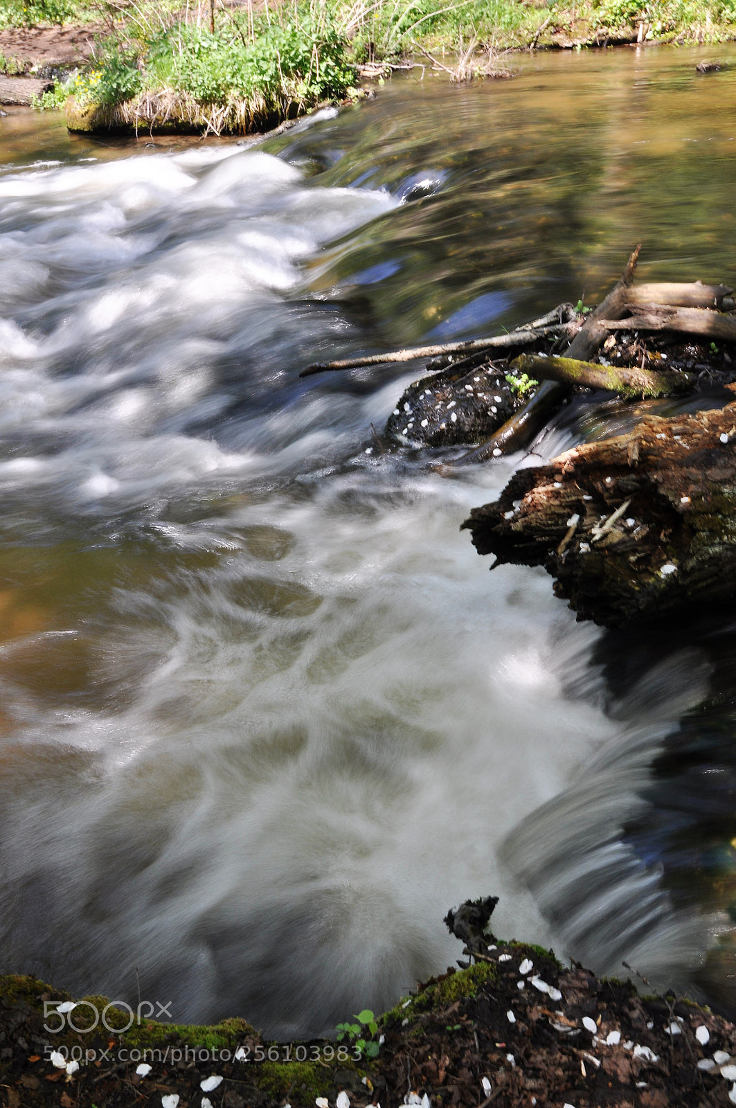 Nikon D90 sample photo. Tanew river 7 photography