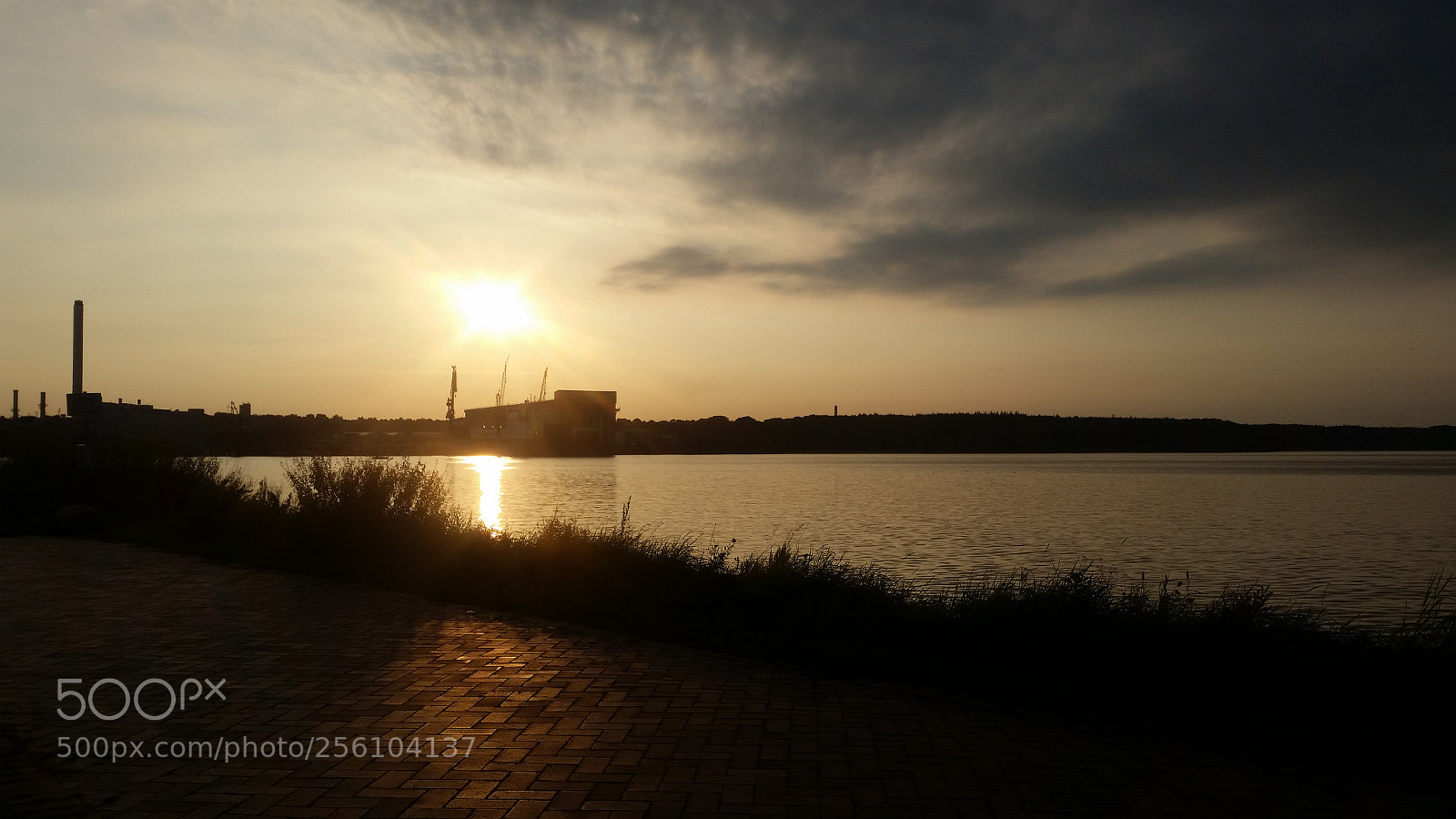 Samsung Galaxy S5 sample photo. Untitled photography