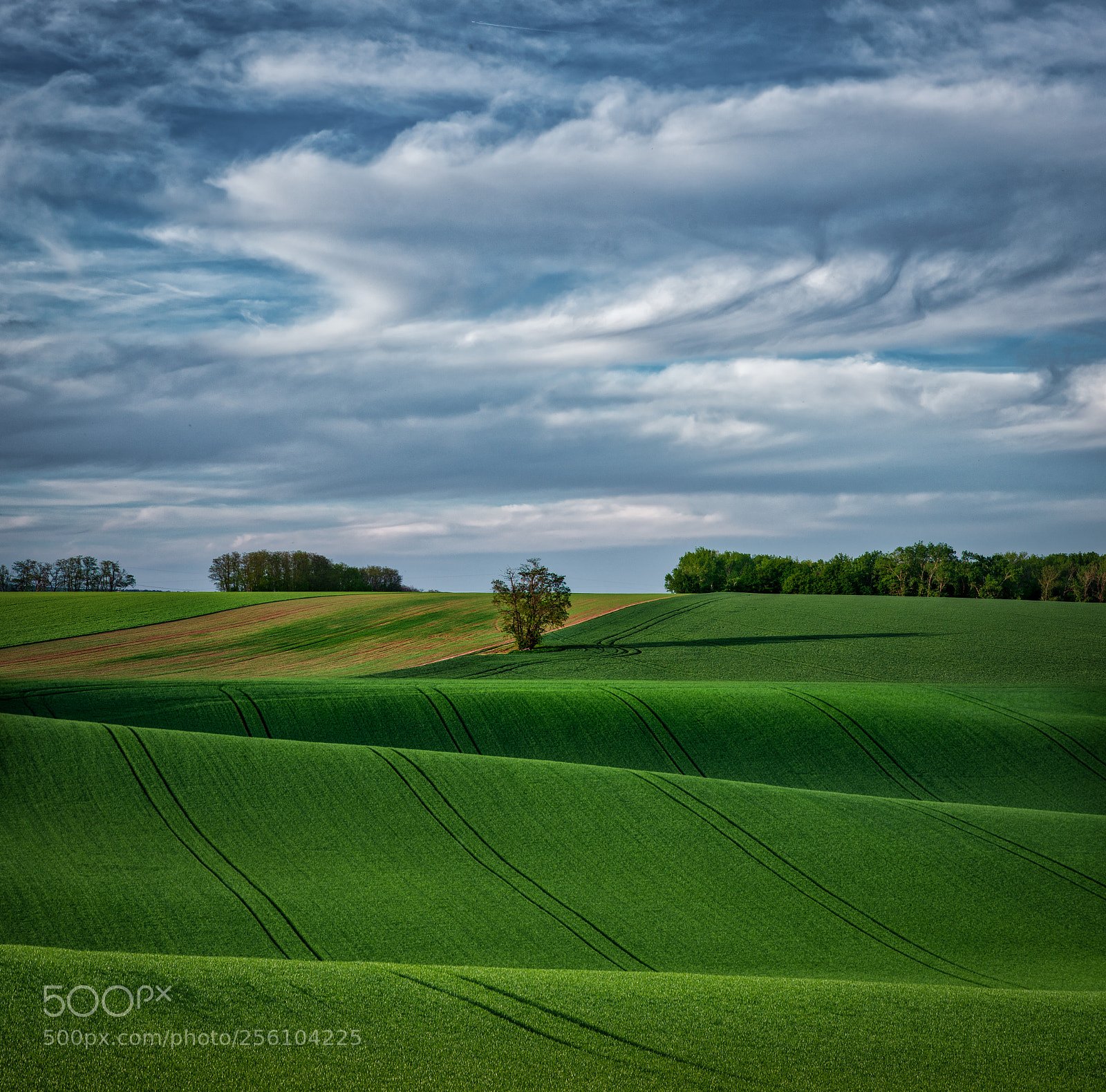Nikon D750 sample photo. Field and clouds photography