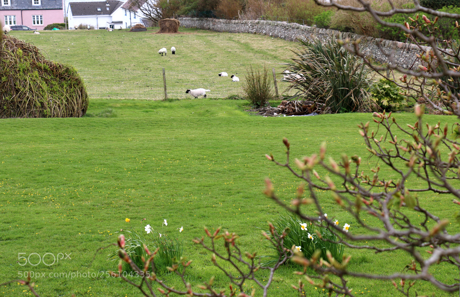 Canon EOS 70D sample photo. Spring photography